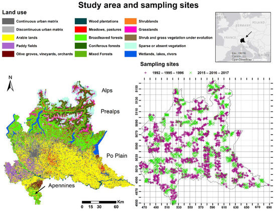 Relative amount of functional habitat and three services by planning