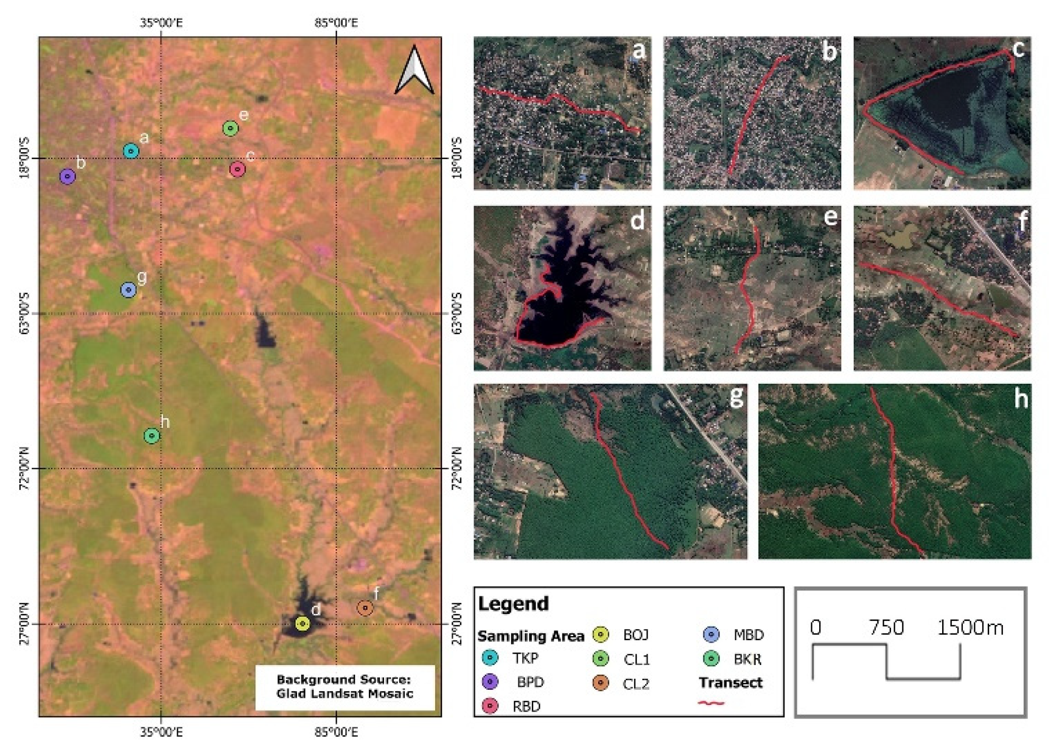 Birds 03 00026 g002 Birds 03 00026 g002
