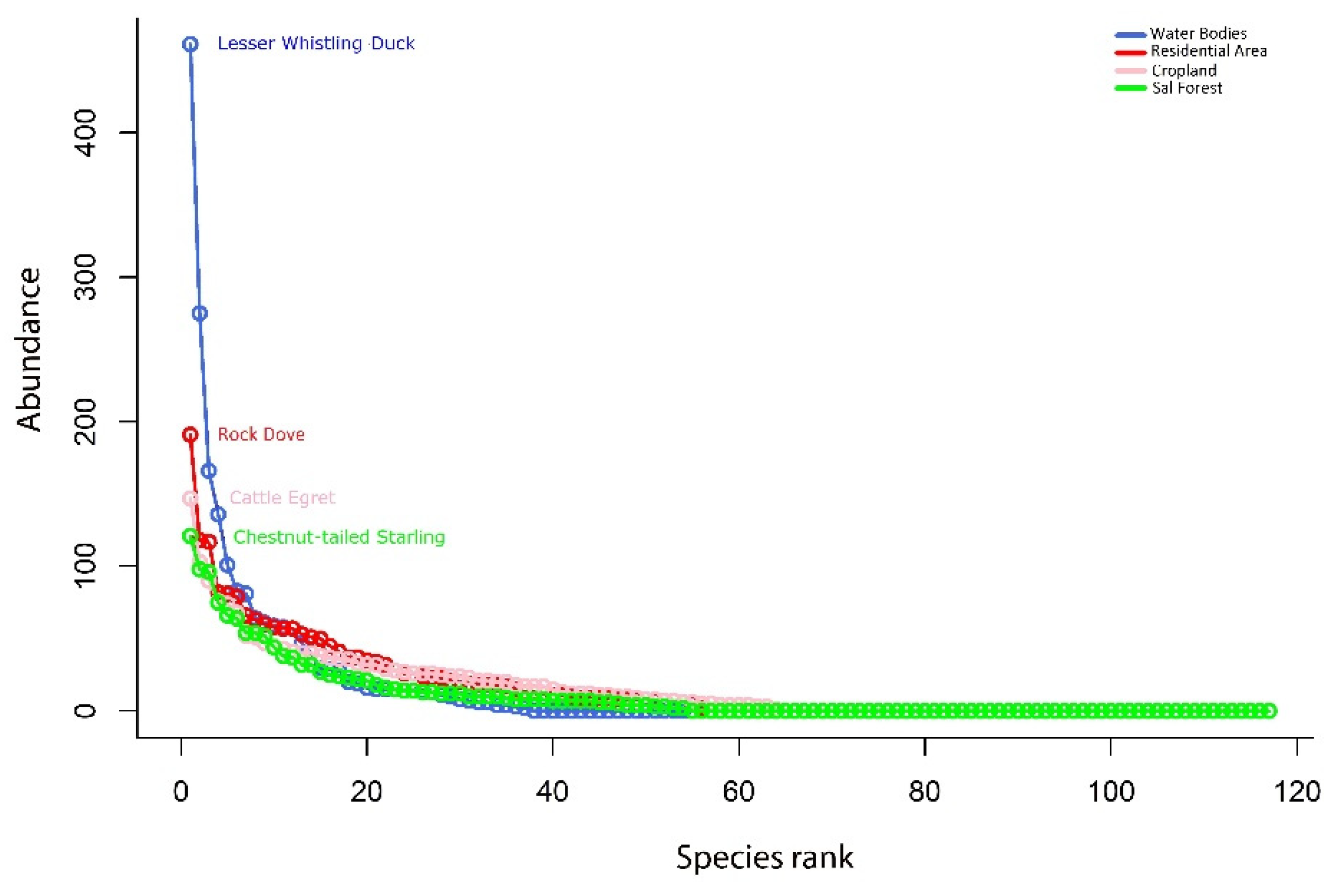 Birds 03 00026 g006 Birds 03 00026 g006