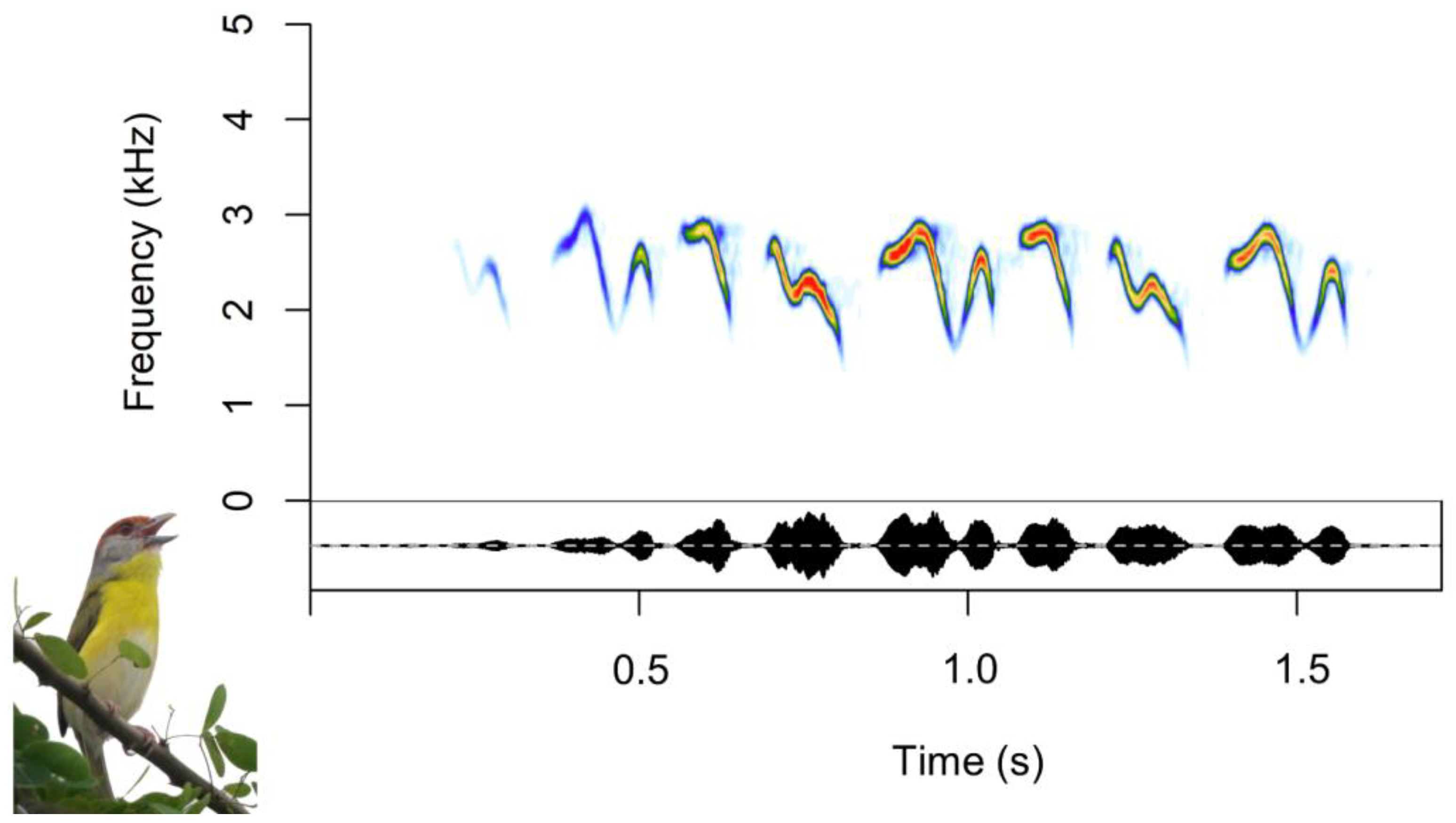 Birds 04 00005 g002 Birds 04 00005 g002