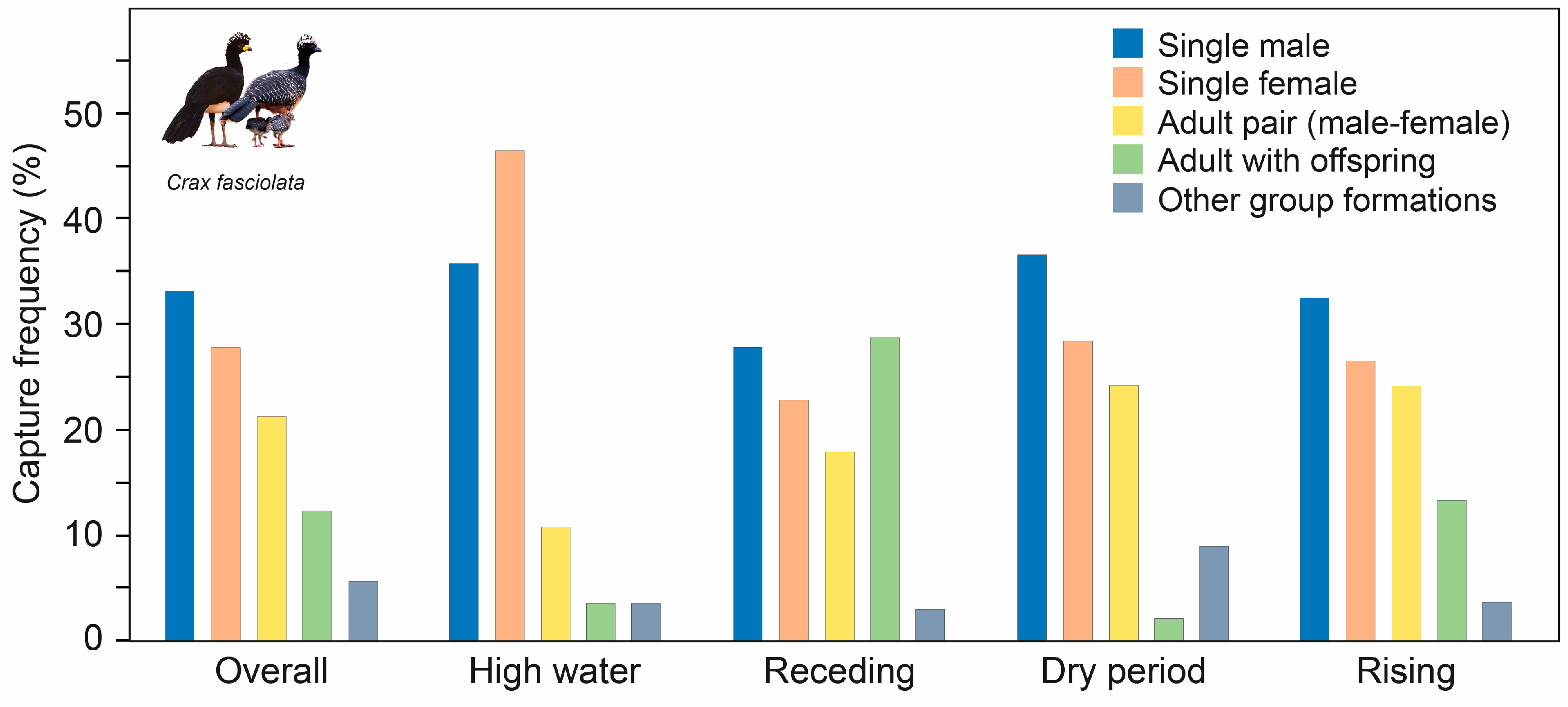 Birds 04 00010 g002 Birds 04 00010 g002