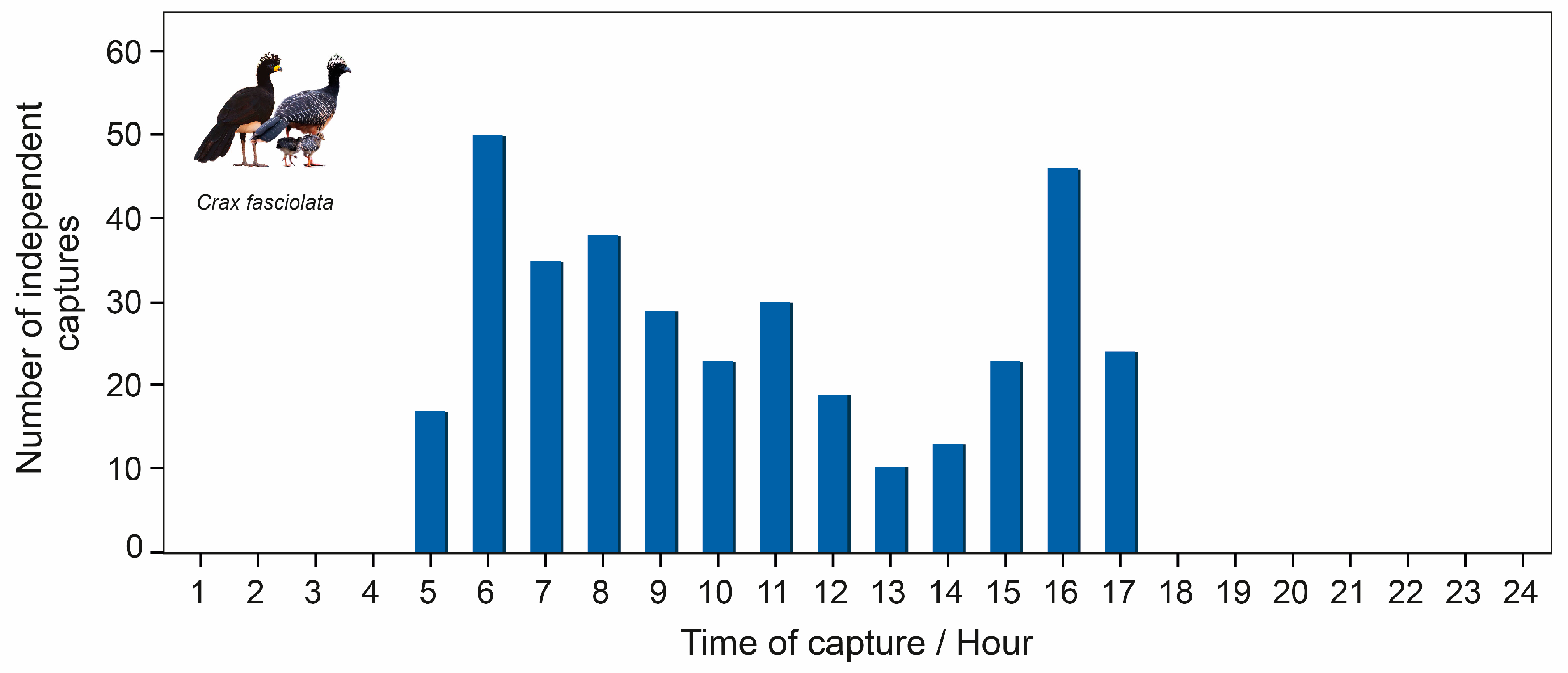 Birds 04 00010 g004 Birds 04 00010 g004