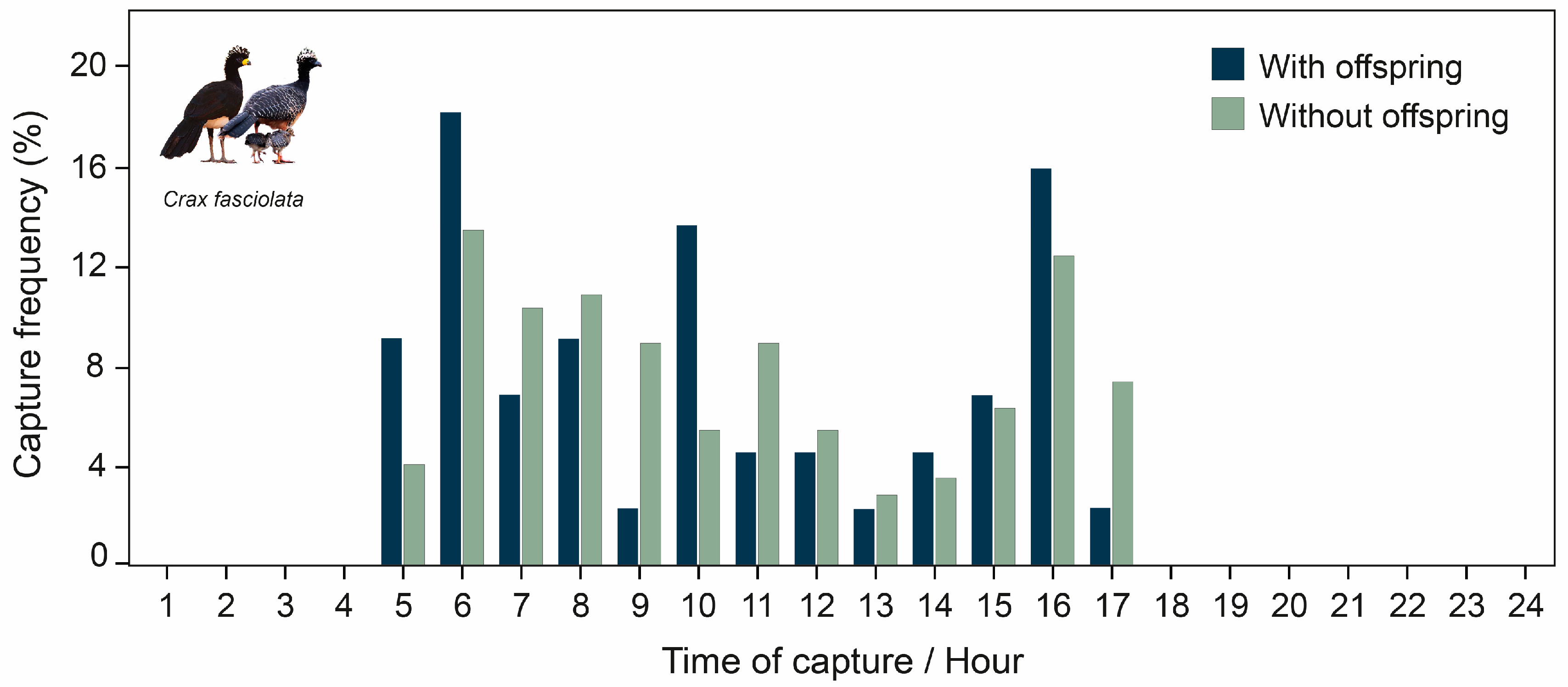 Birds 04 00010 g005 Birds 04 00010 g005
