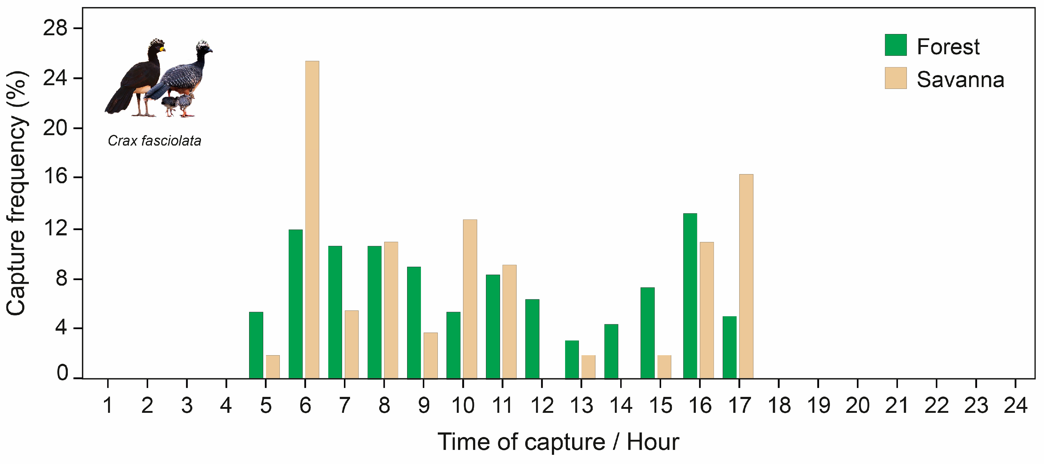 Birds 04 00010 g006 Birds 04 00010 g006