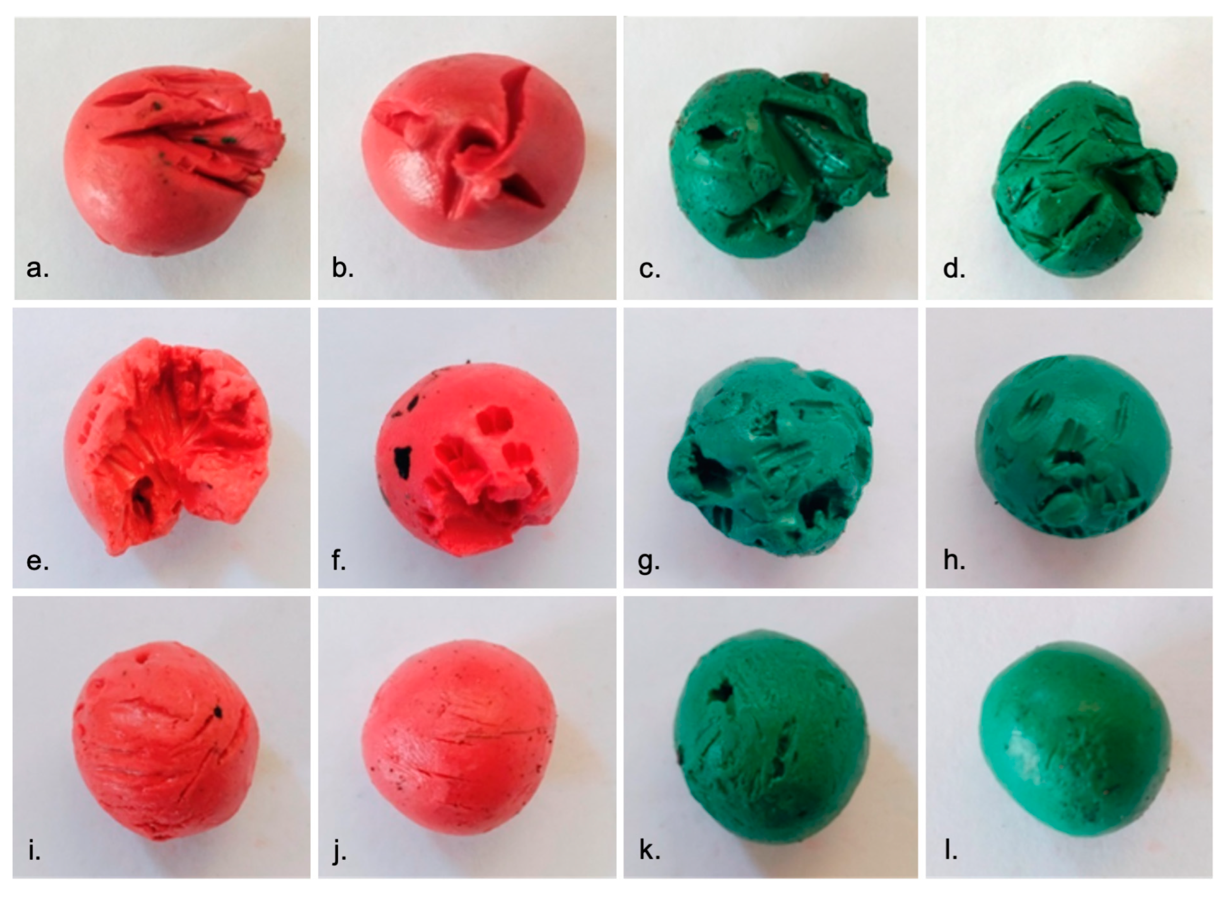 Birds 04 00016 g002 Birds 04 00016 g002