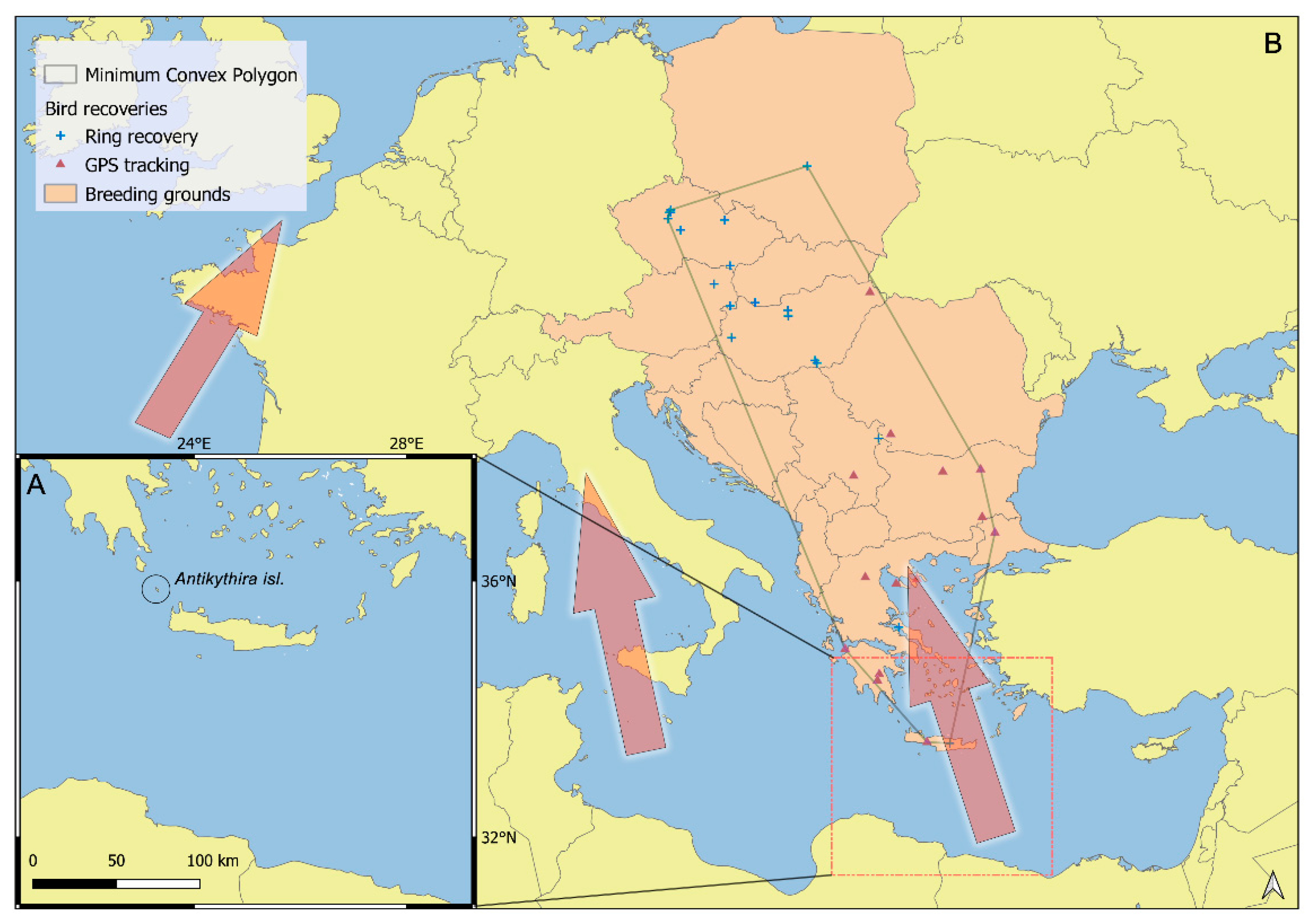 Birds 04 00017 g001 Birds 04 00017 g001