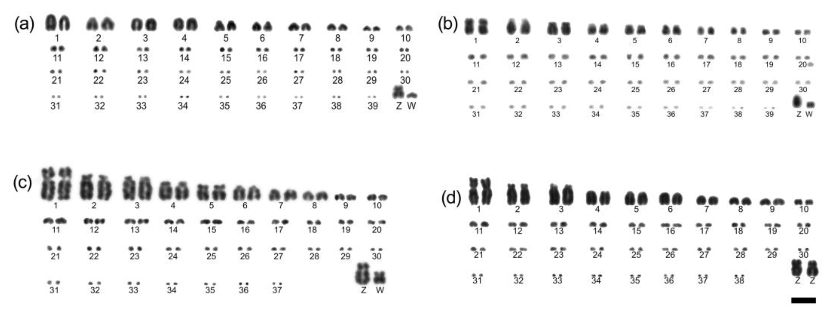 Birds 04 00020 g001 Birds 04 00020 g001