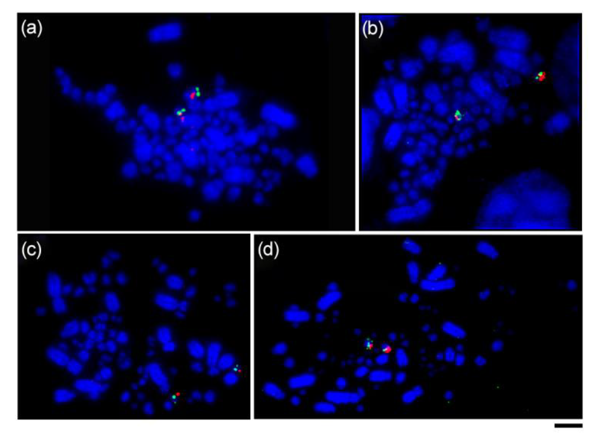 Birds 04 00020 g002 Birds 04 00020 g002