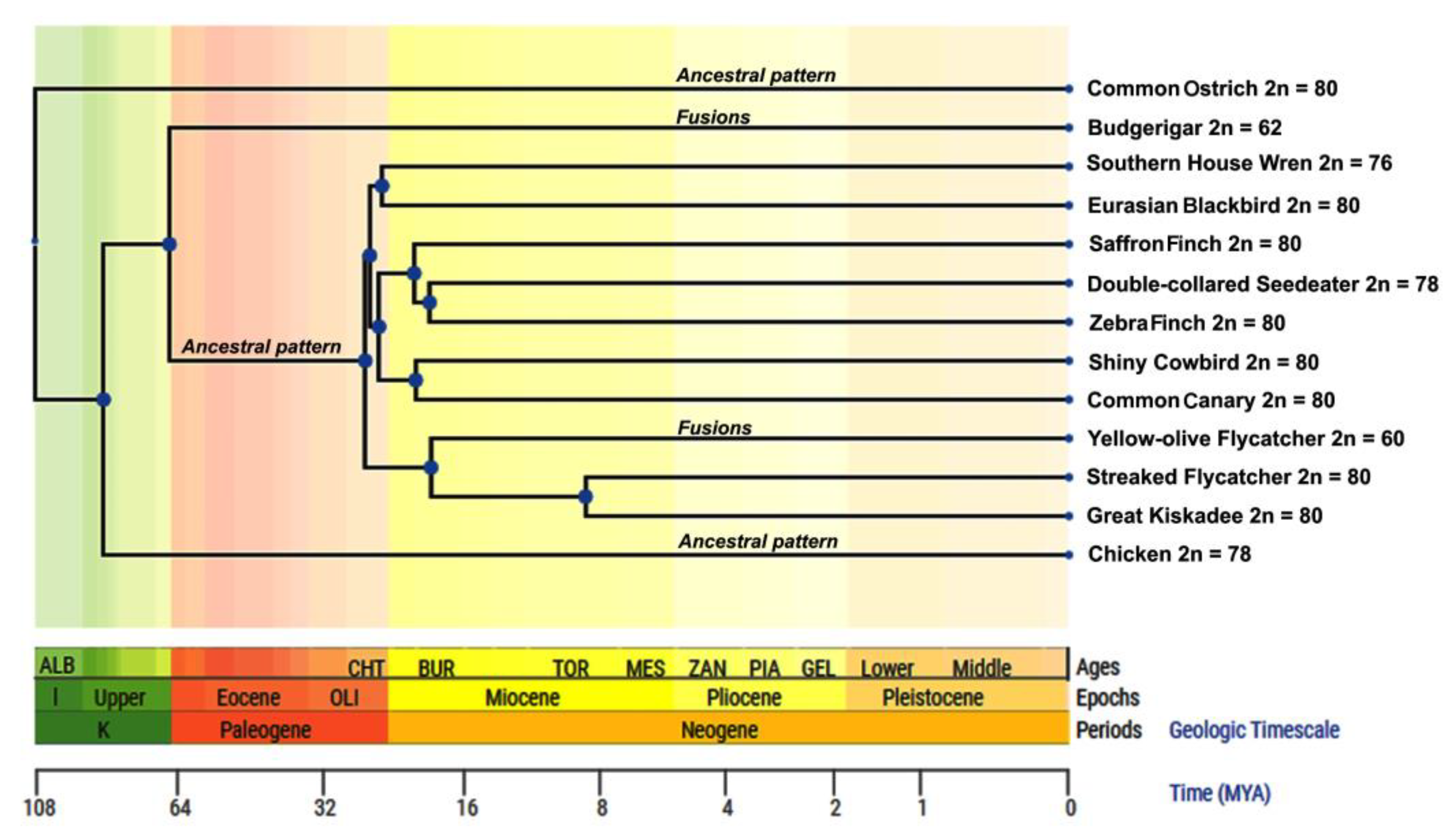 Birds 04 00020 g003 Birds 04 00020 g003