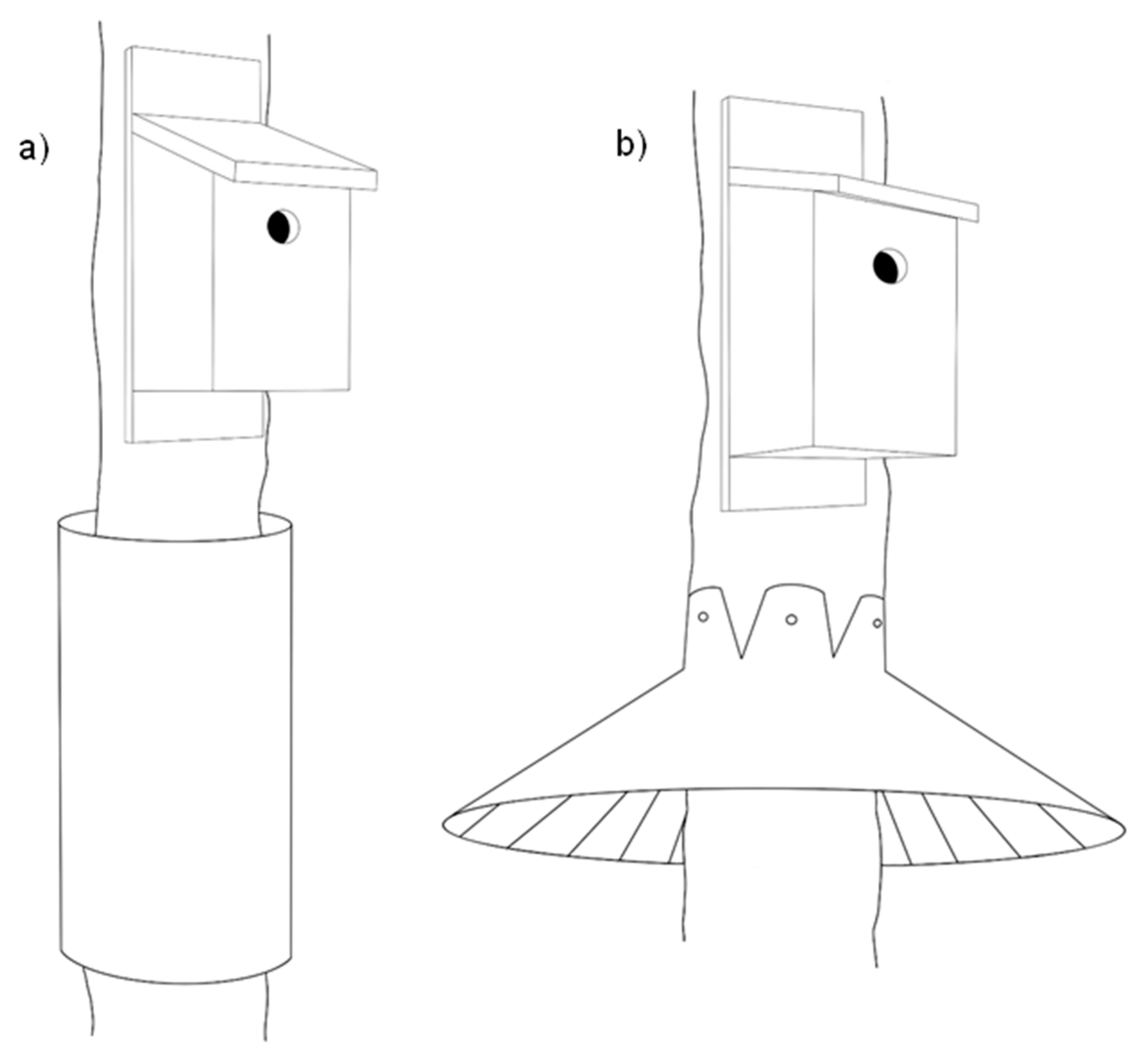 Birds 05 00001 g007 Birds 05 00001 g007