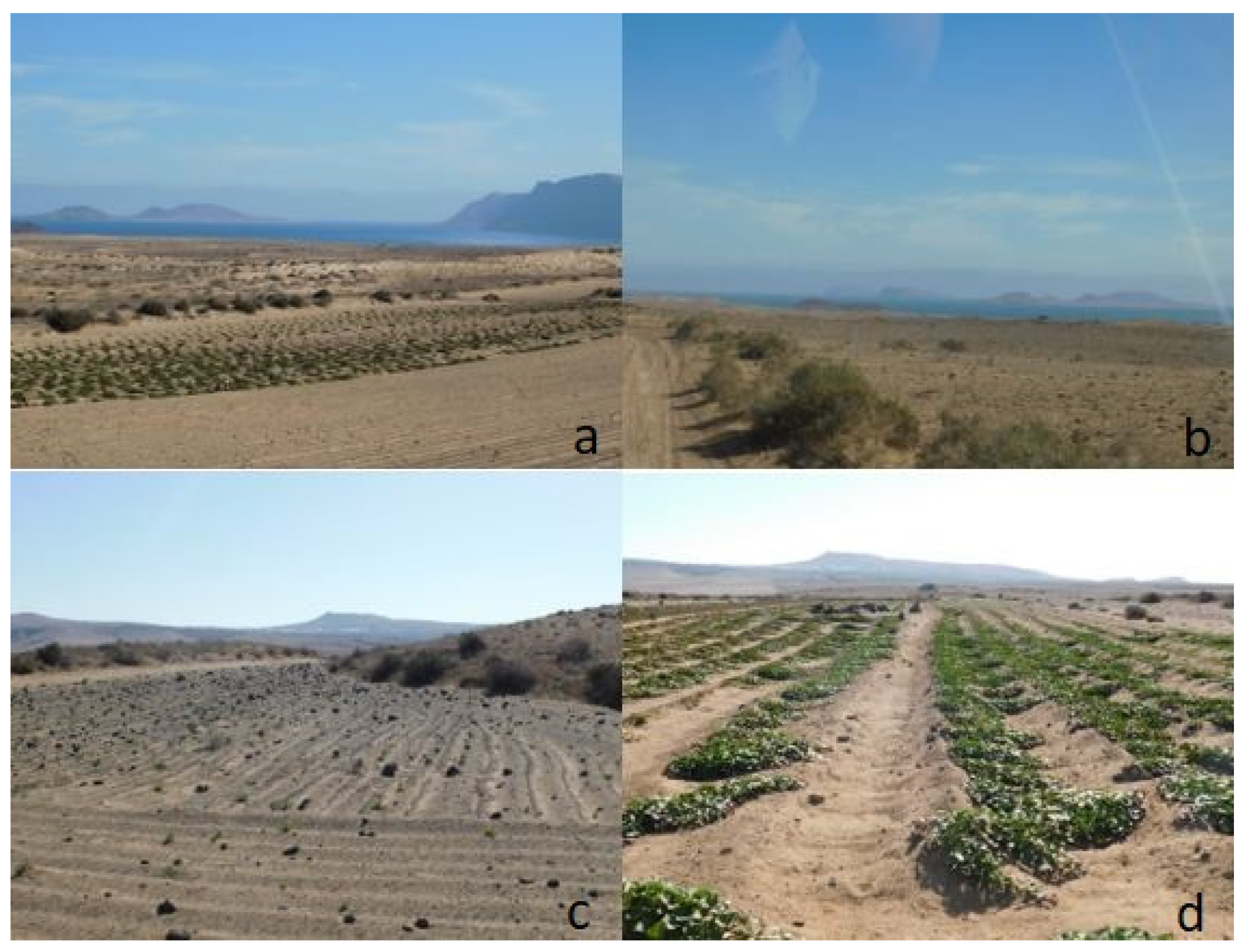 Birds 05 00011 g002 Birds 05 00011 g002