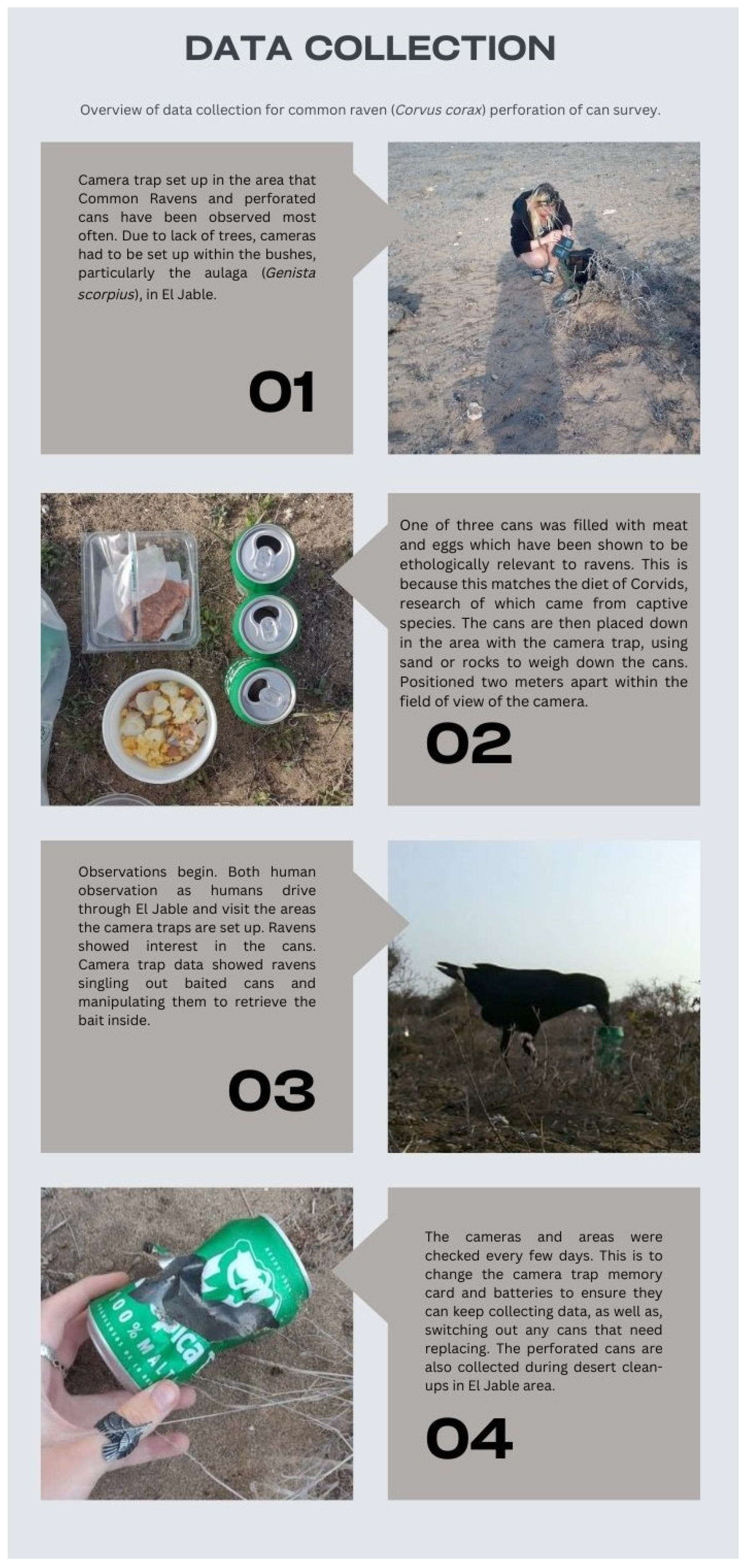 Birds 05 00011 g003 Birds 05 00011 g003