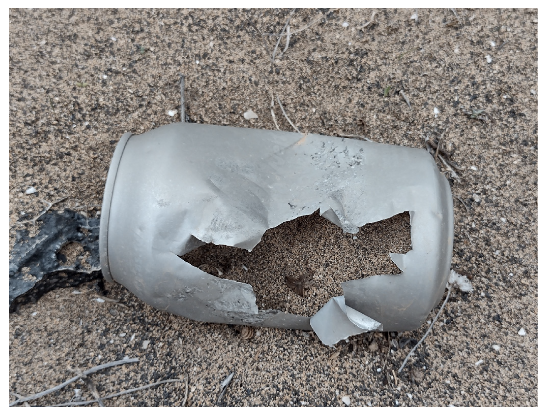 Birds 05 00011 g006 Birds 05 00011 g006