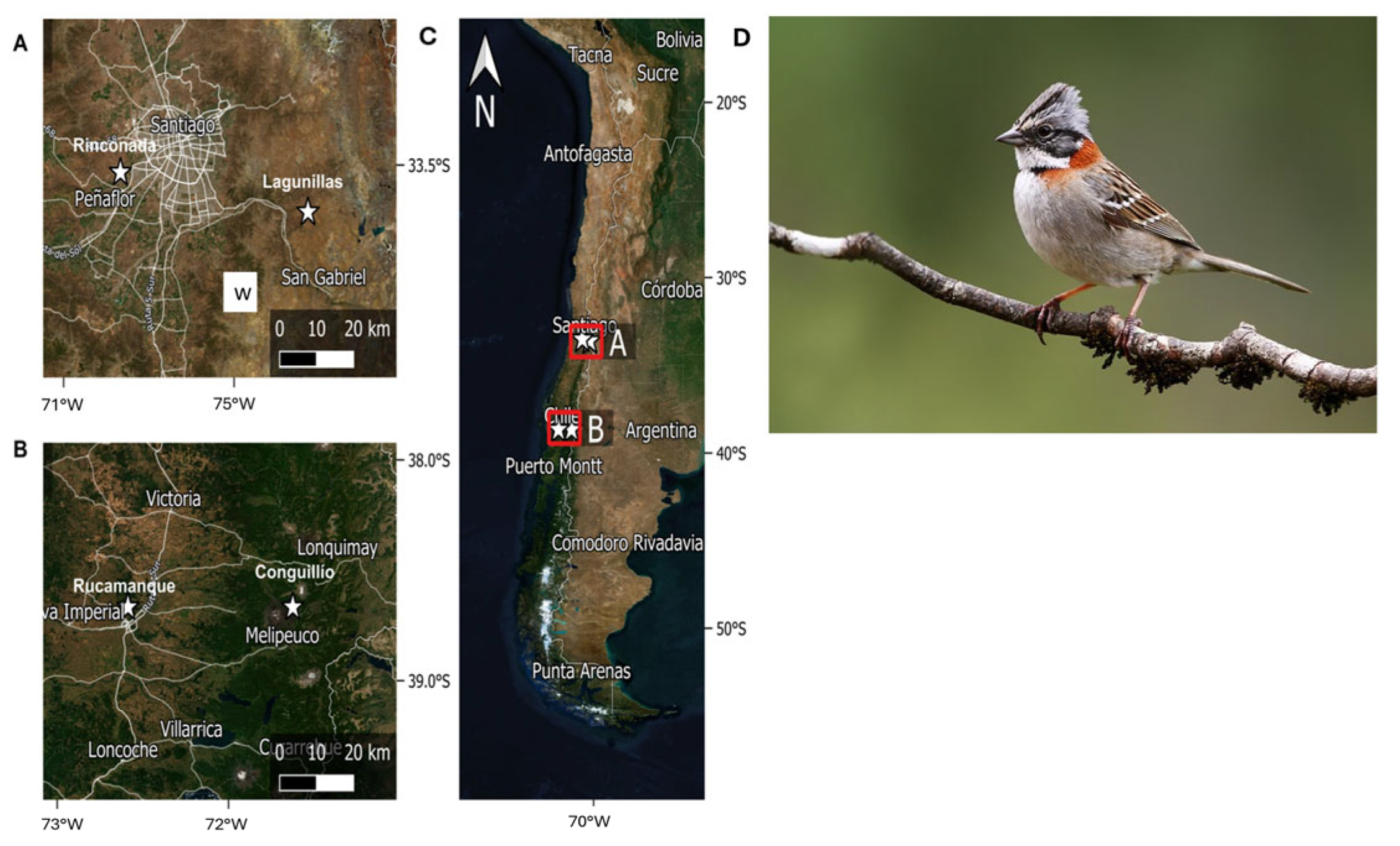 Birds 05 00040 g001 Birds 05 00040 g001