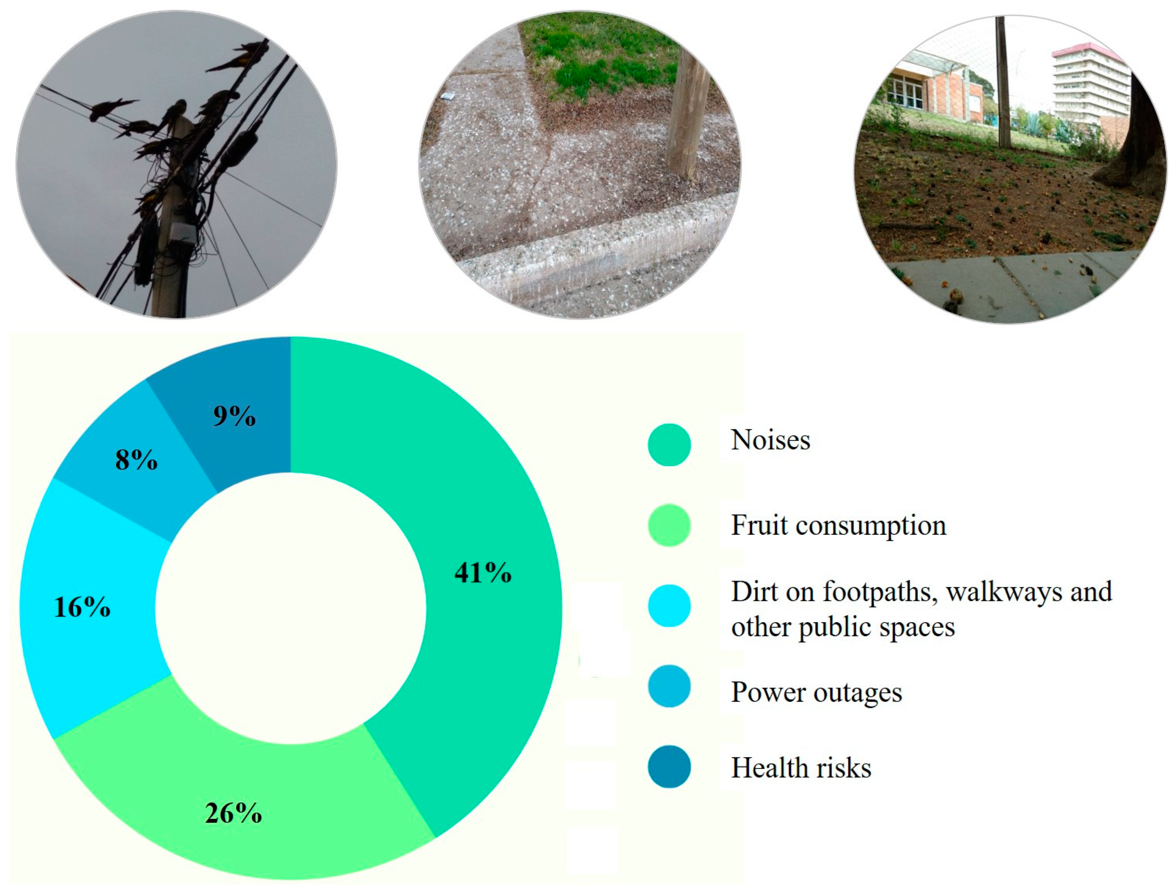 Birds 05 00051 g005 Birds 05 00051 g005
