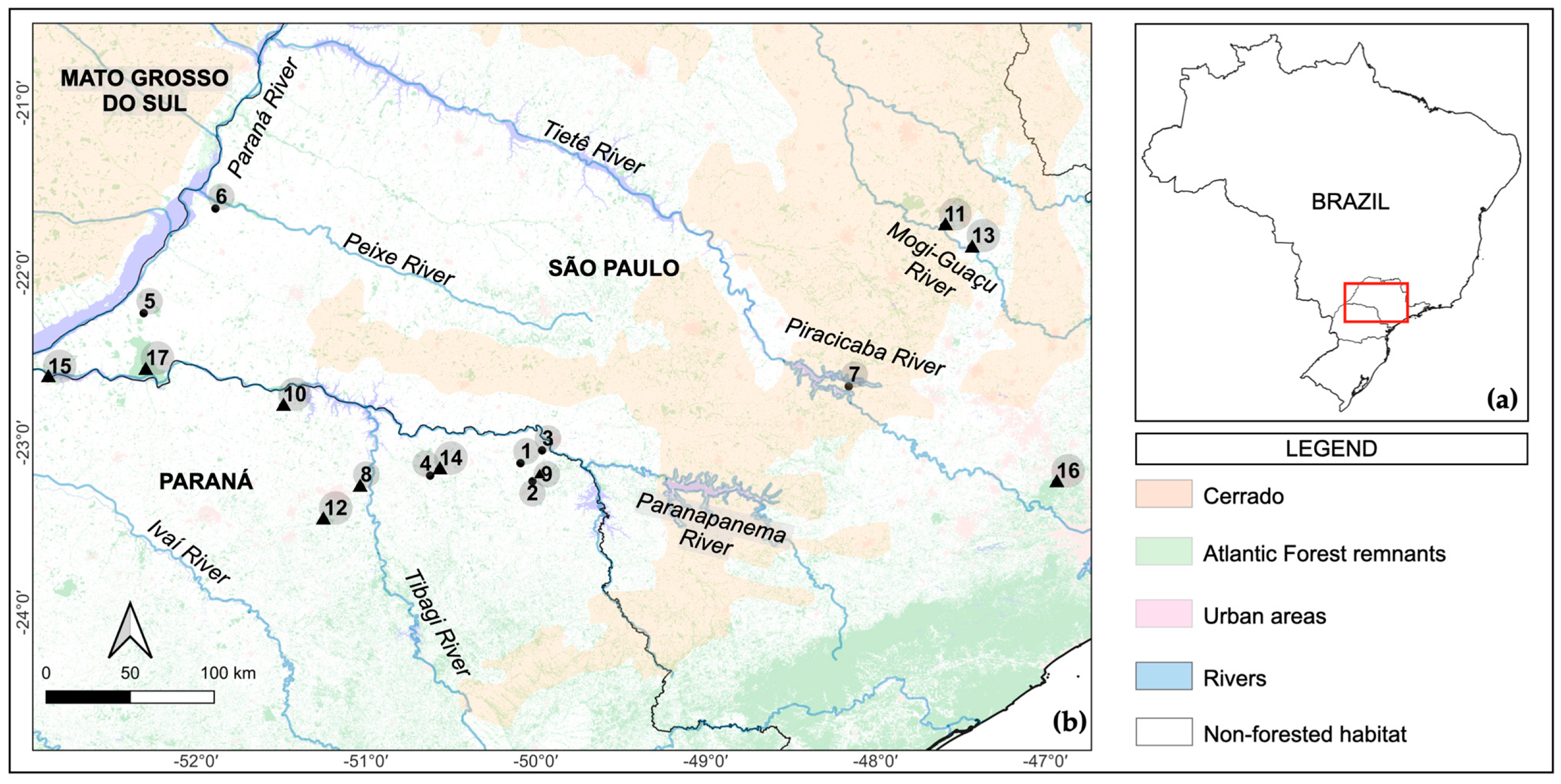 Birds 05 00053 g001 Birds 05 00053 g001