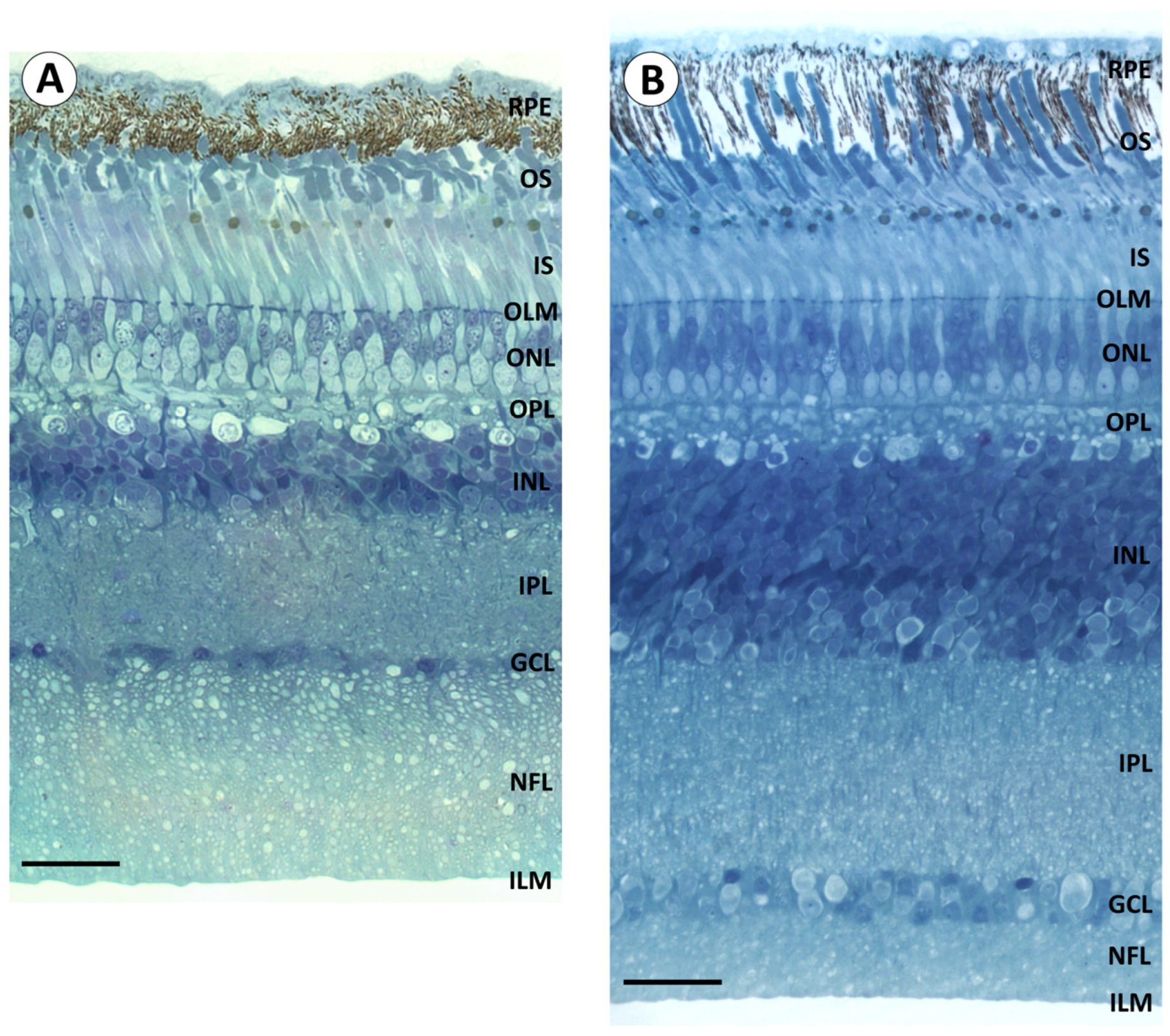 Birds 06 00007 g002 Birds 06 00007 g002