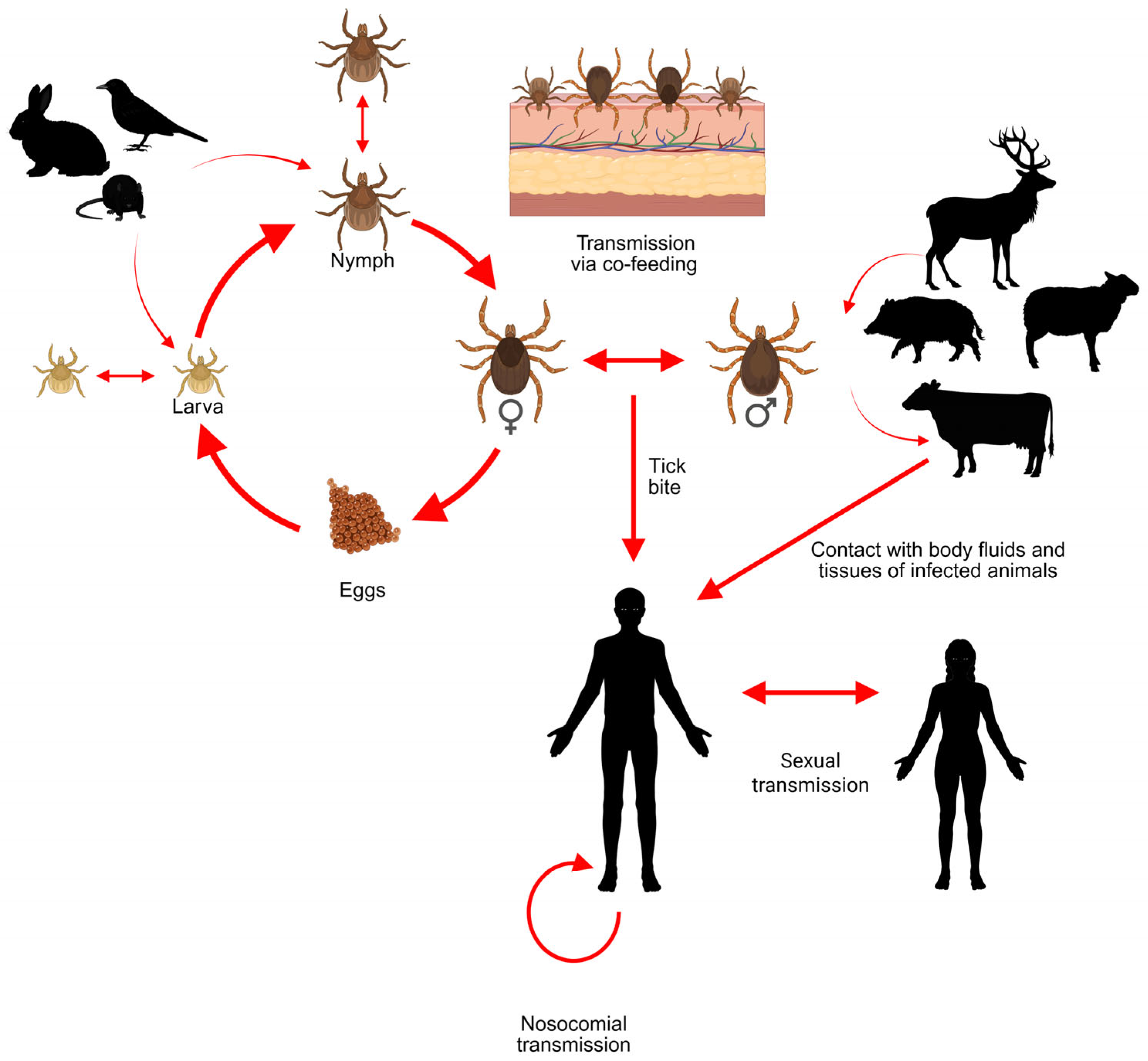 Birds 06 00031 g003 Birds 06 00031 g003