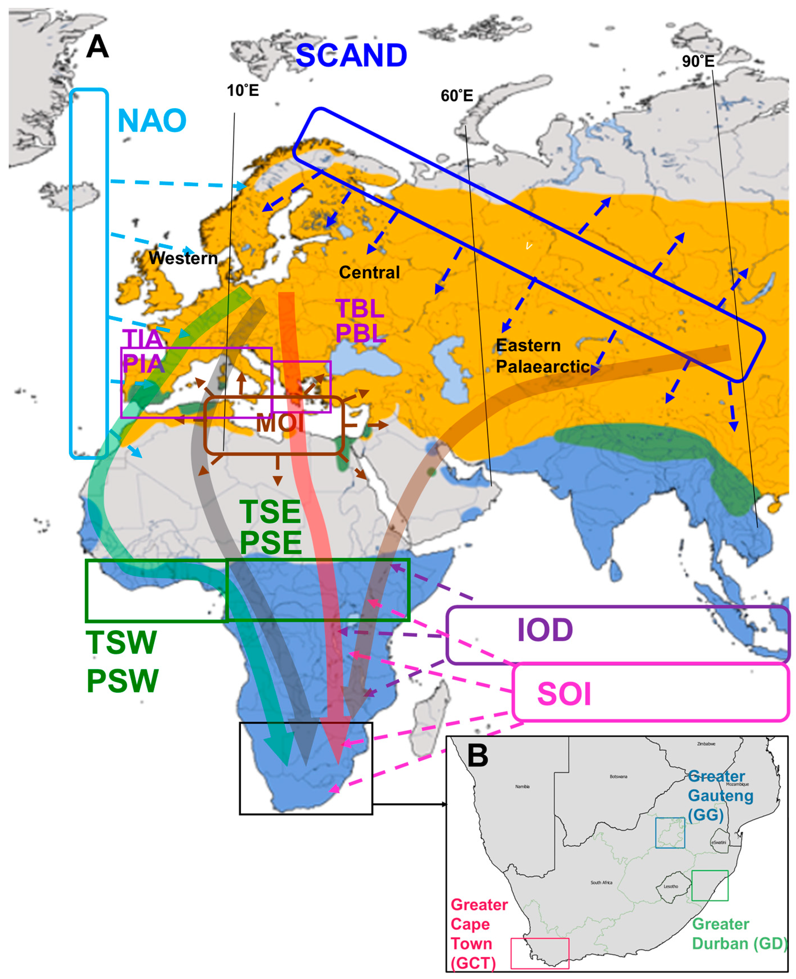 Birds 06 00048 g001 Birds 06 00048 g001