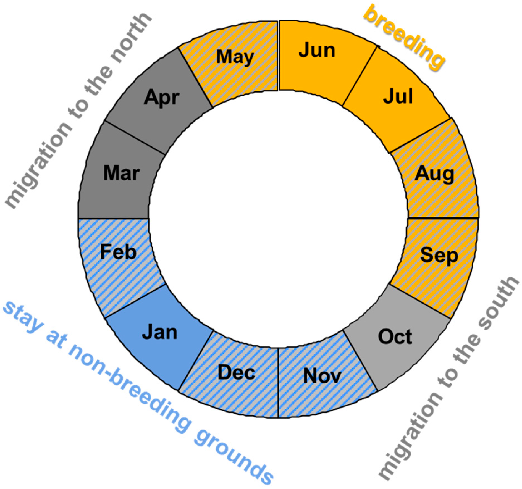 Birds 06 00048 g002 Birds 06 00048 g002