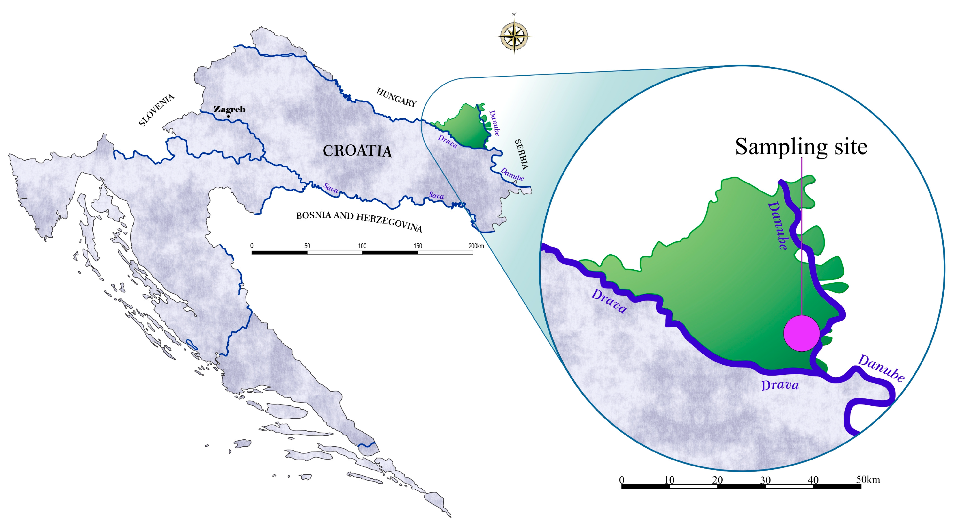Birds 06 00051 g001 Birds 06 00051 g001