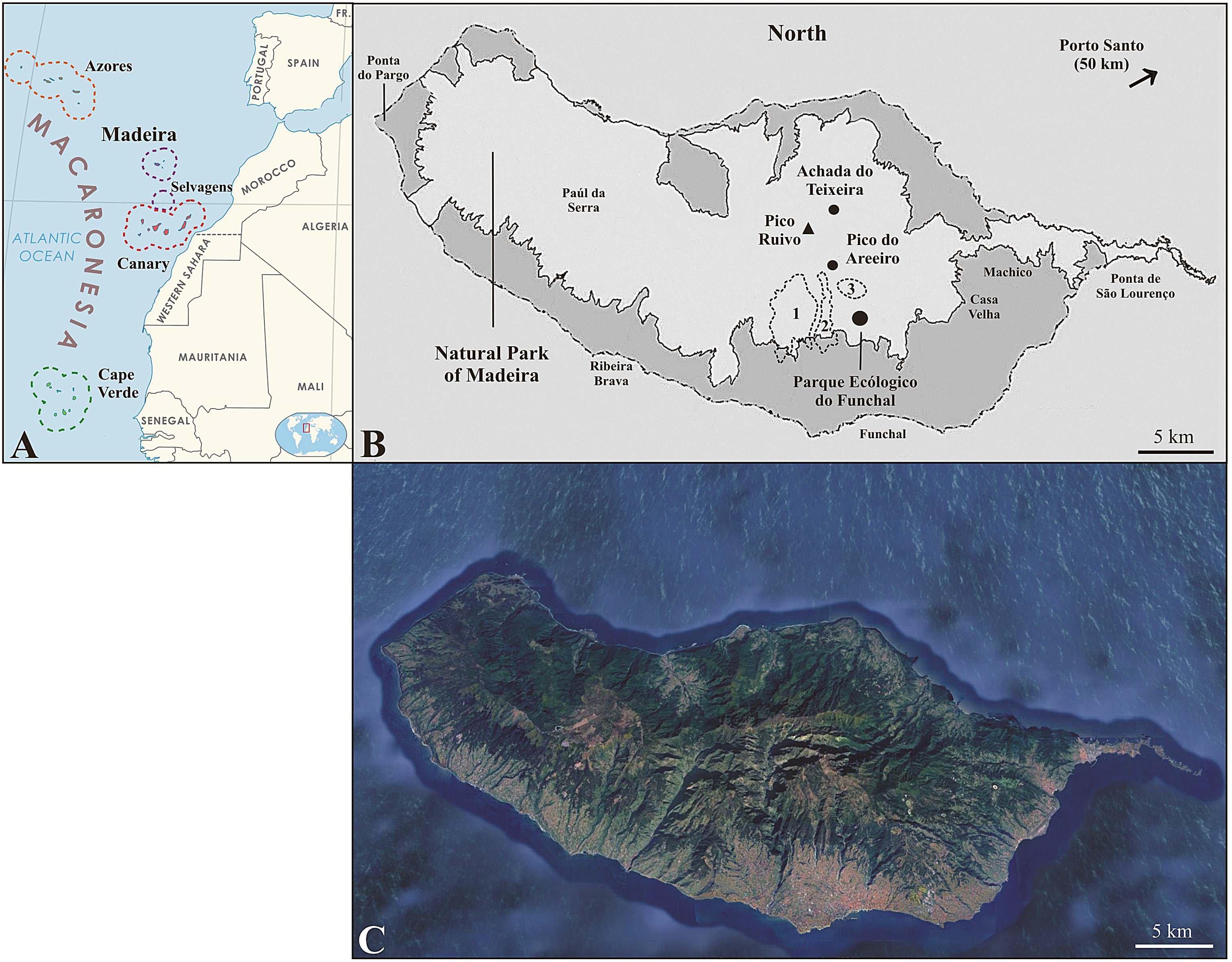 Birds 06 00059 g001 Birds 06 00059 g001