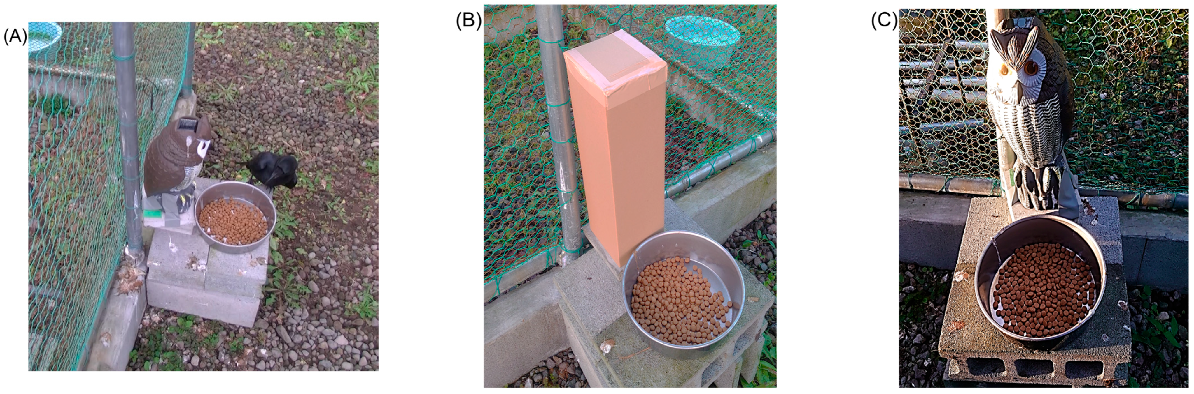 Birds 06 00064 g001 Birds 06 00064 g001