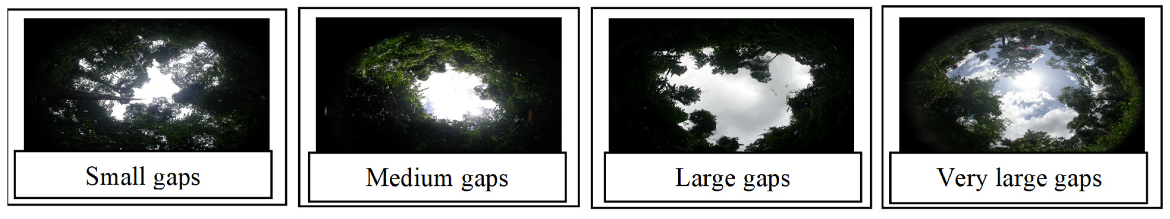 Blsf 02 00010 g001 550