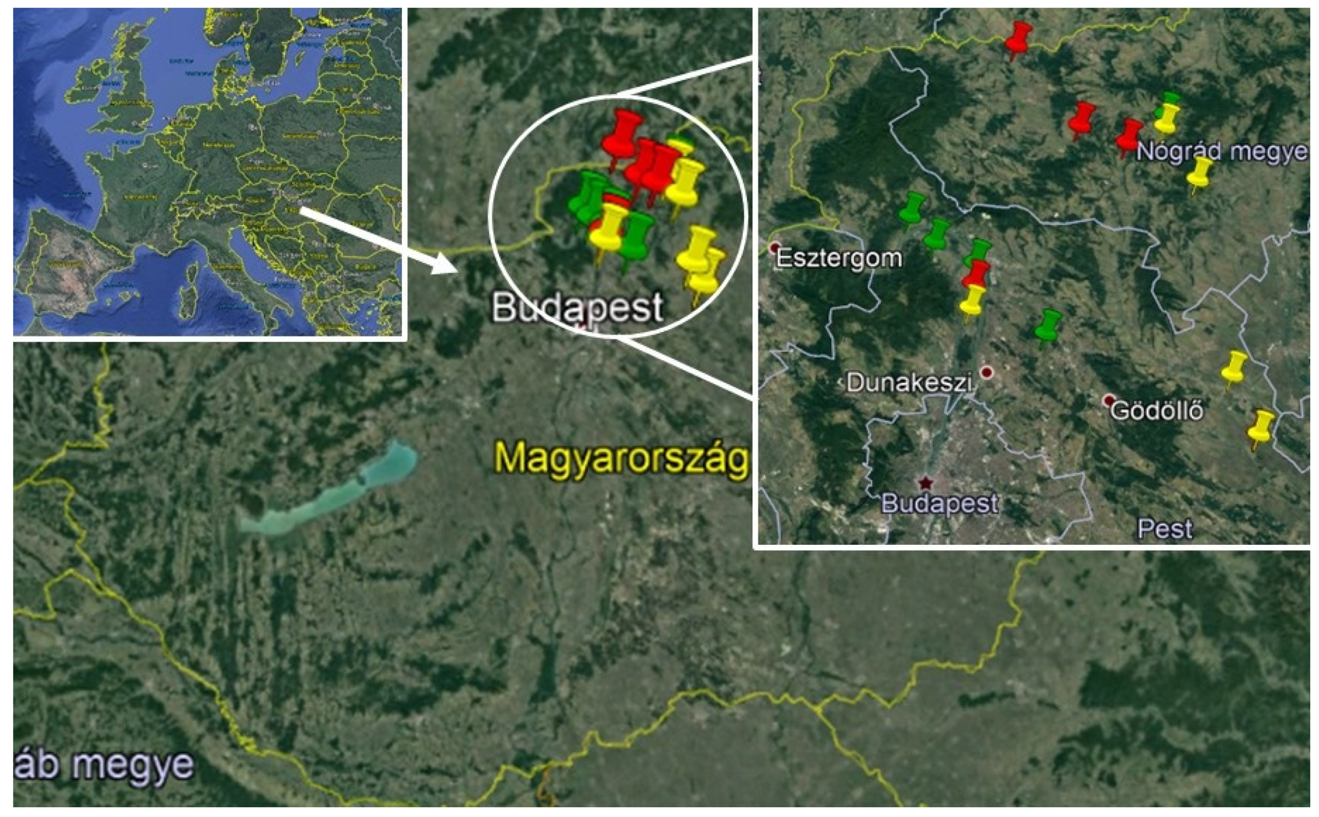 Blsf 02 00013 g001 550