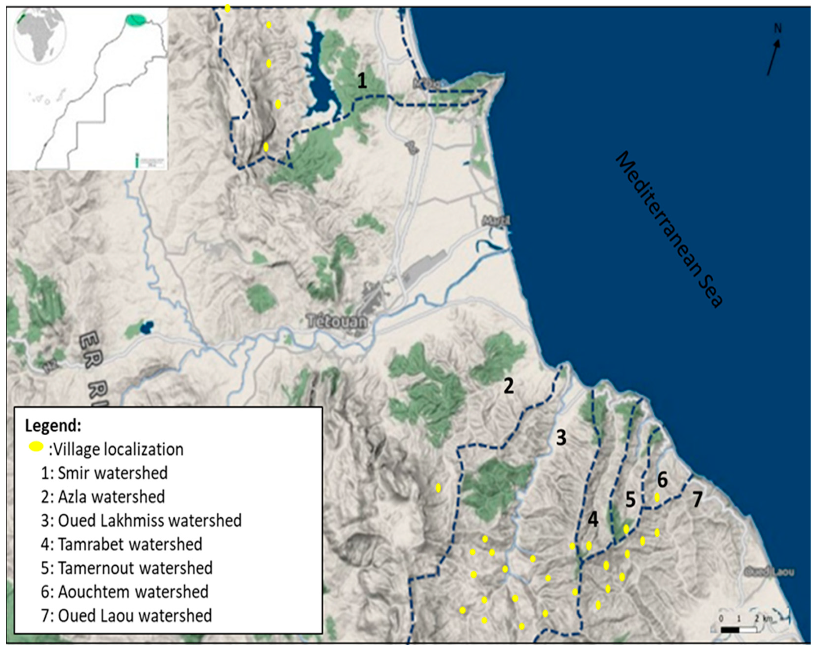 Blsf 02 00034 g001 Blsf 02 00034 g001