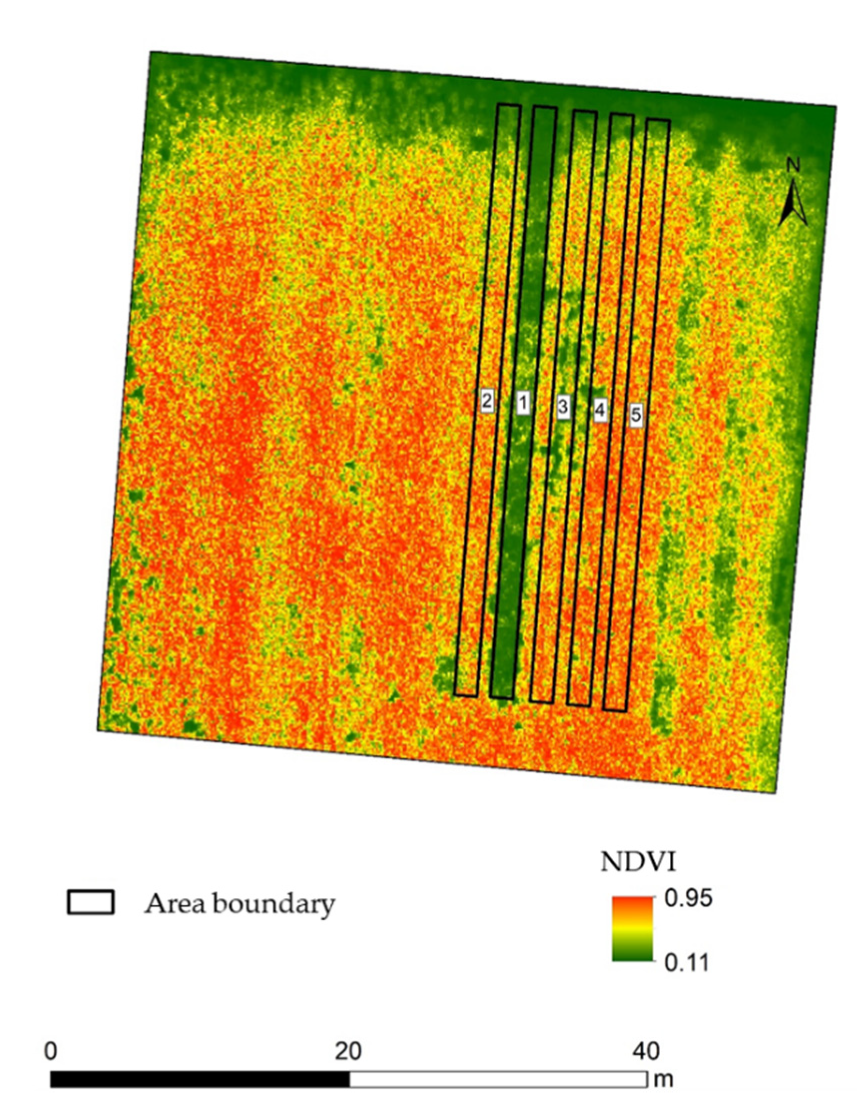 Blsf 03 00018 g001 550