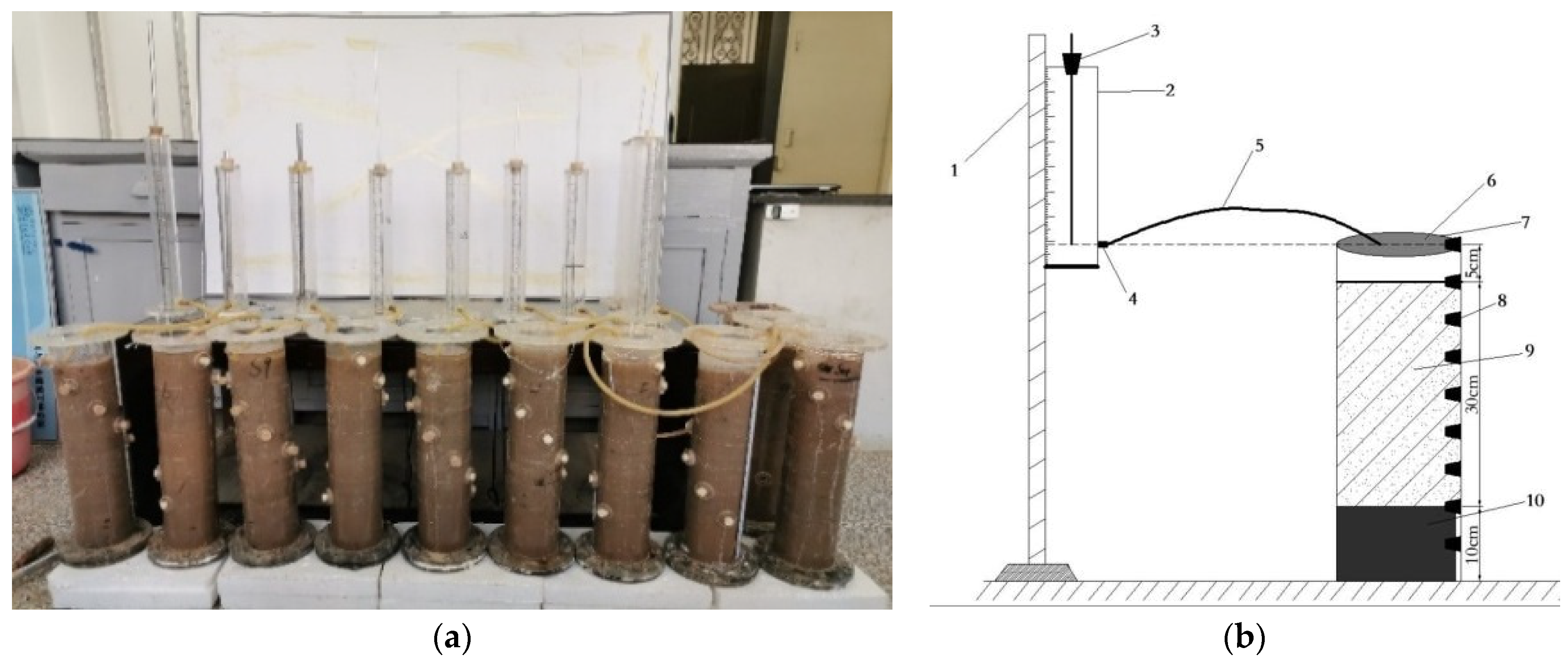 Blsf 03 00033 g001 Blsf 03 00033 g001