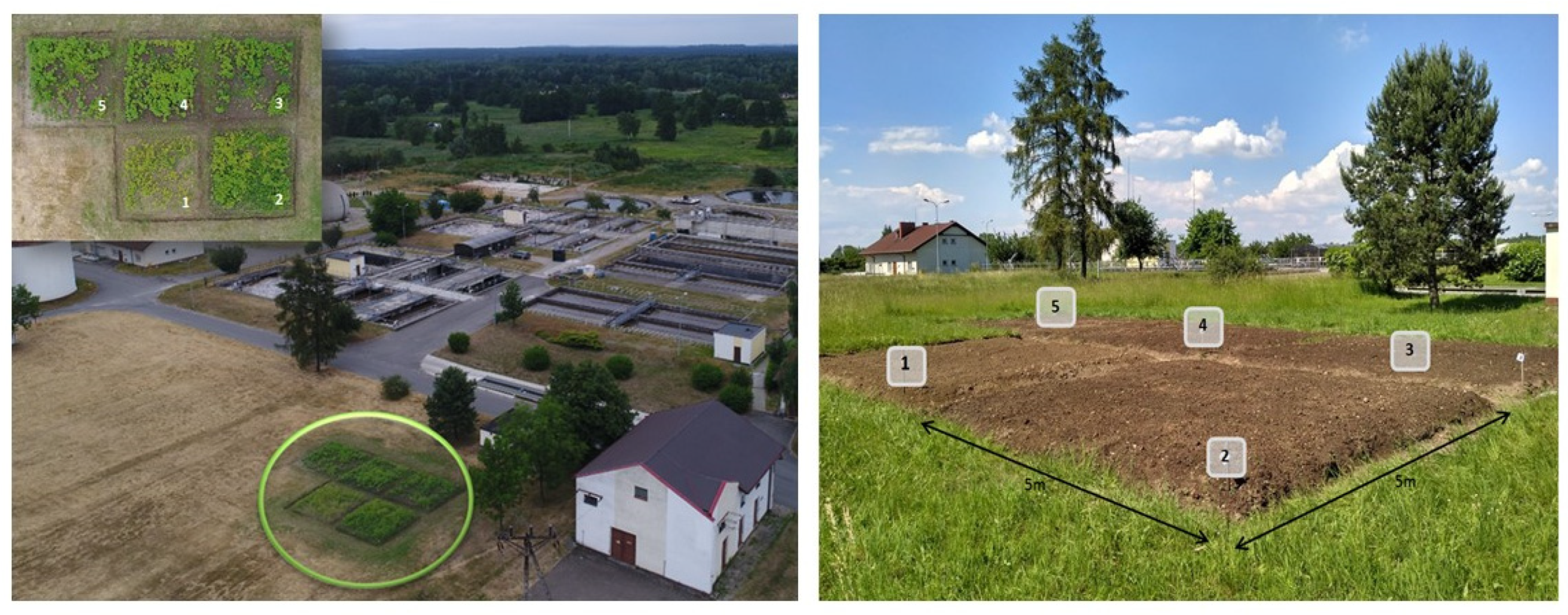 Blsf 03 00035 g002 550