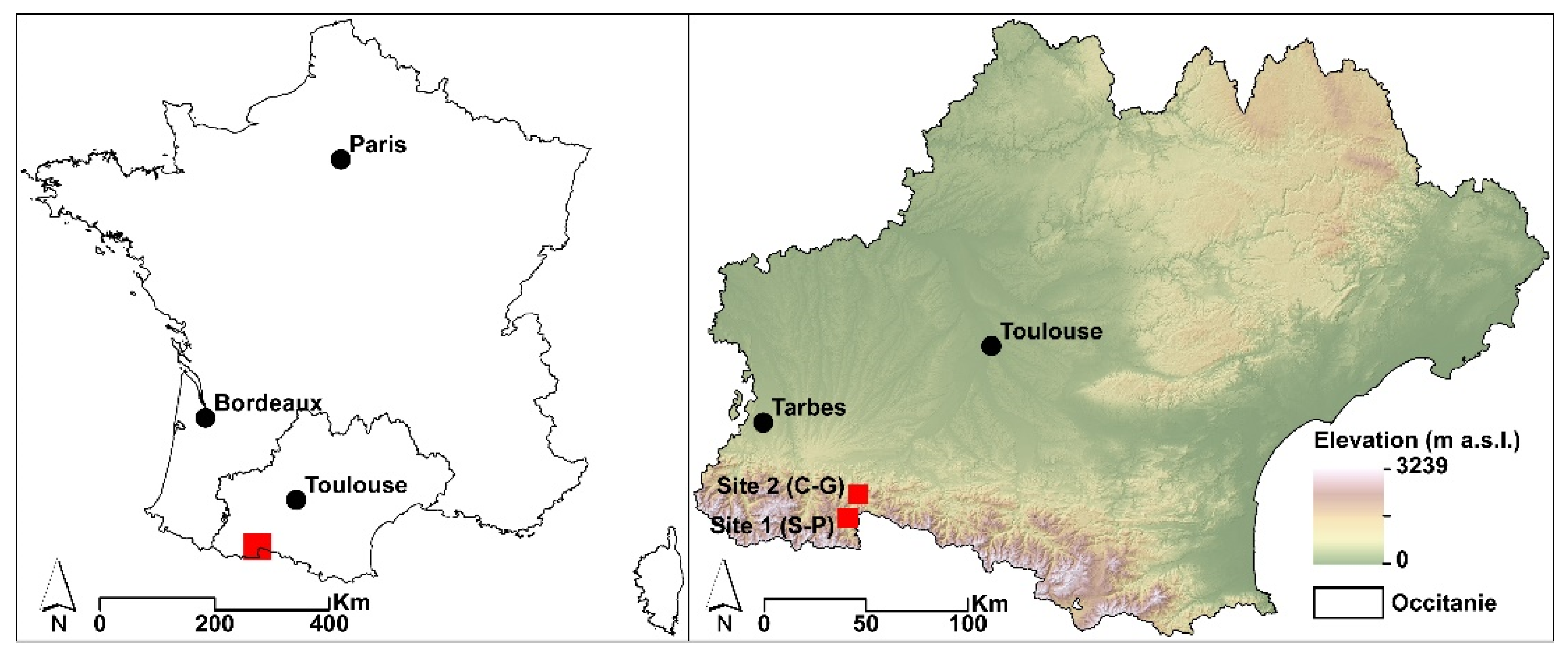 Blsf 03 00051 g001 550