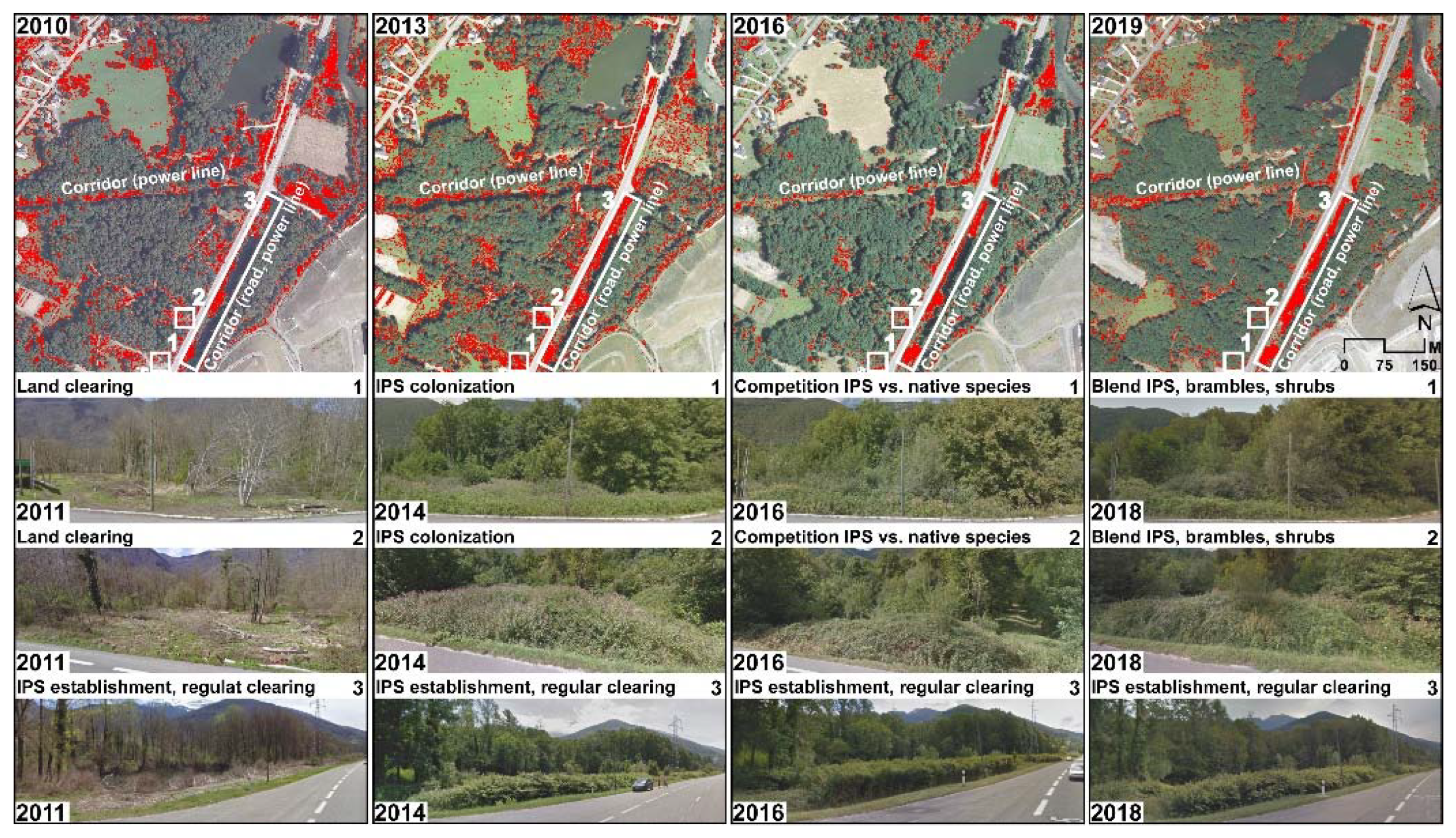 Blsf 03 00051 g005 550