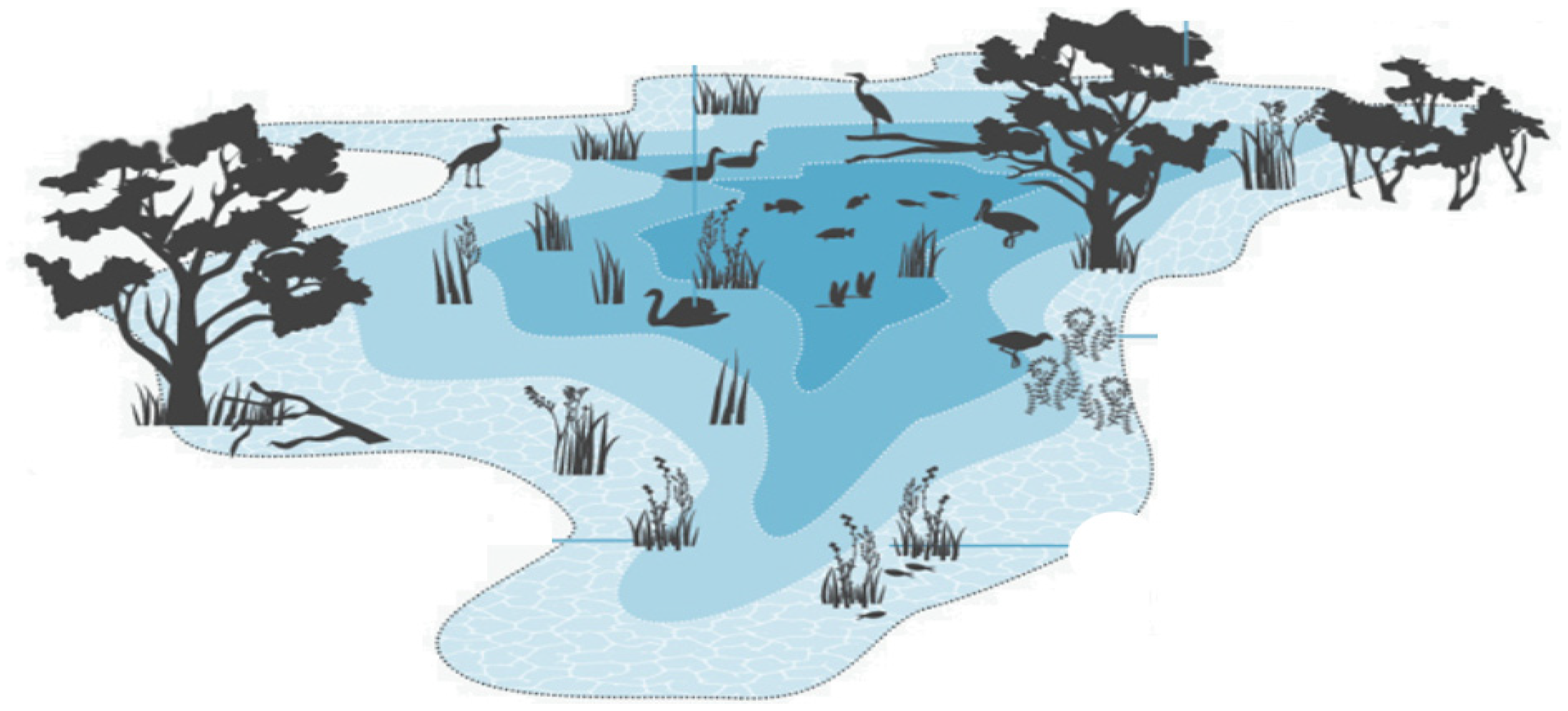 Blsf 03 00054 g001 550