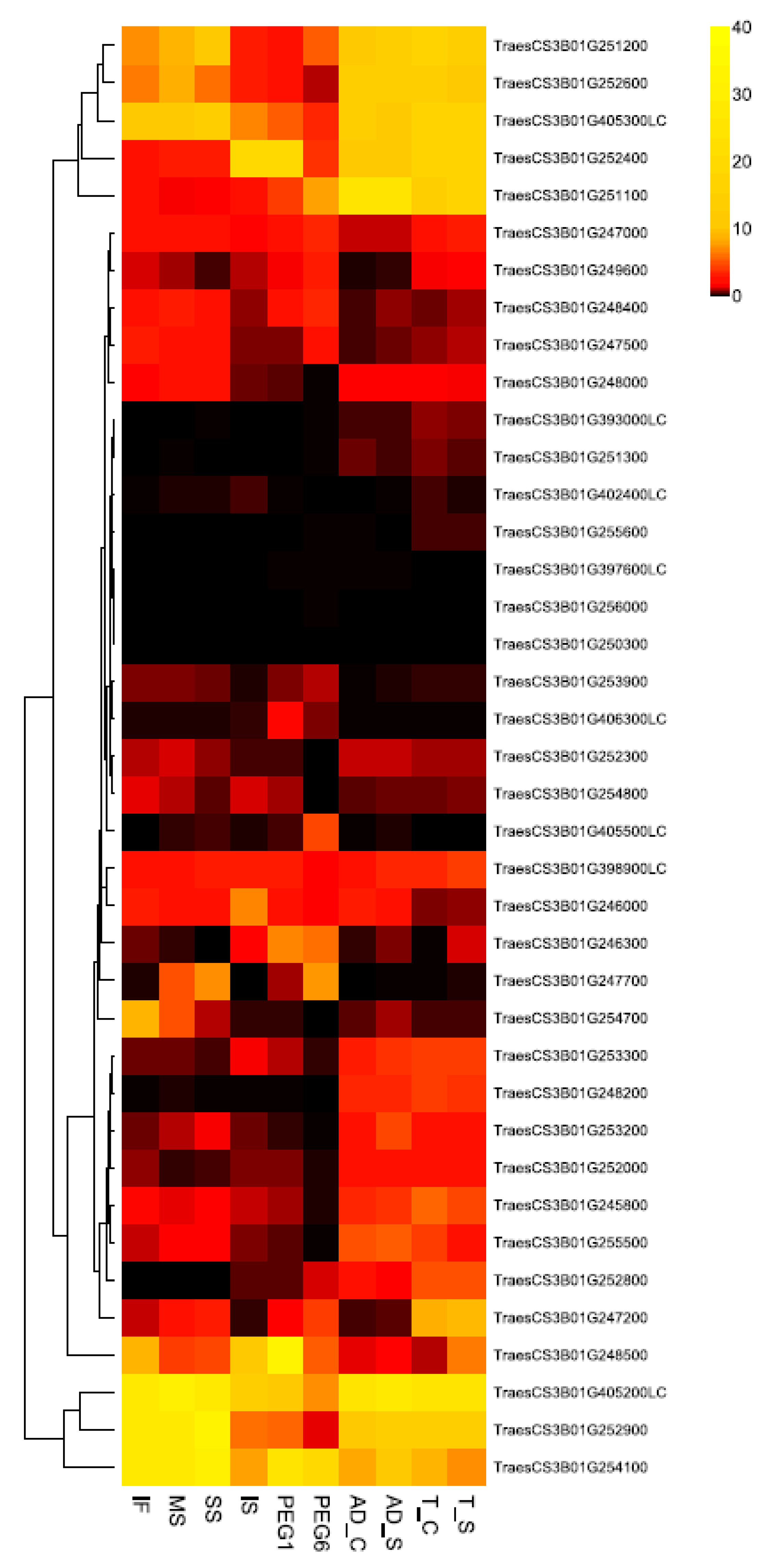 Blsf 04 00044 g002 Blsf 04 00044 g002