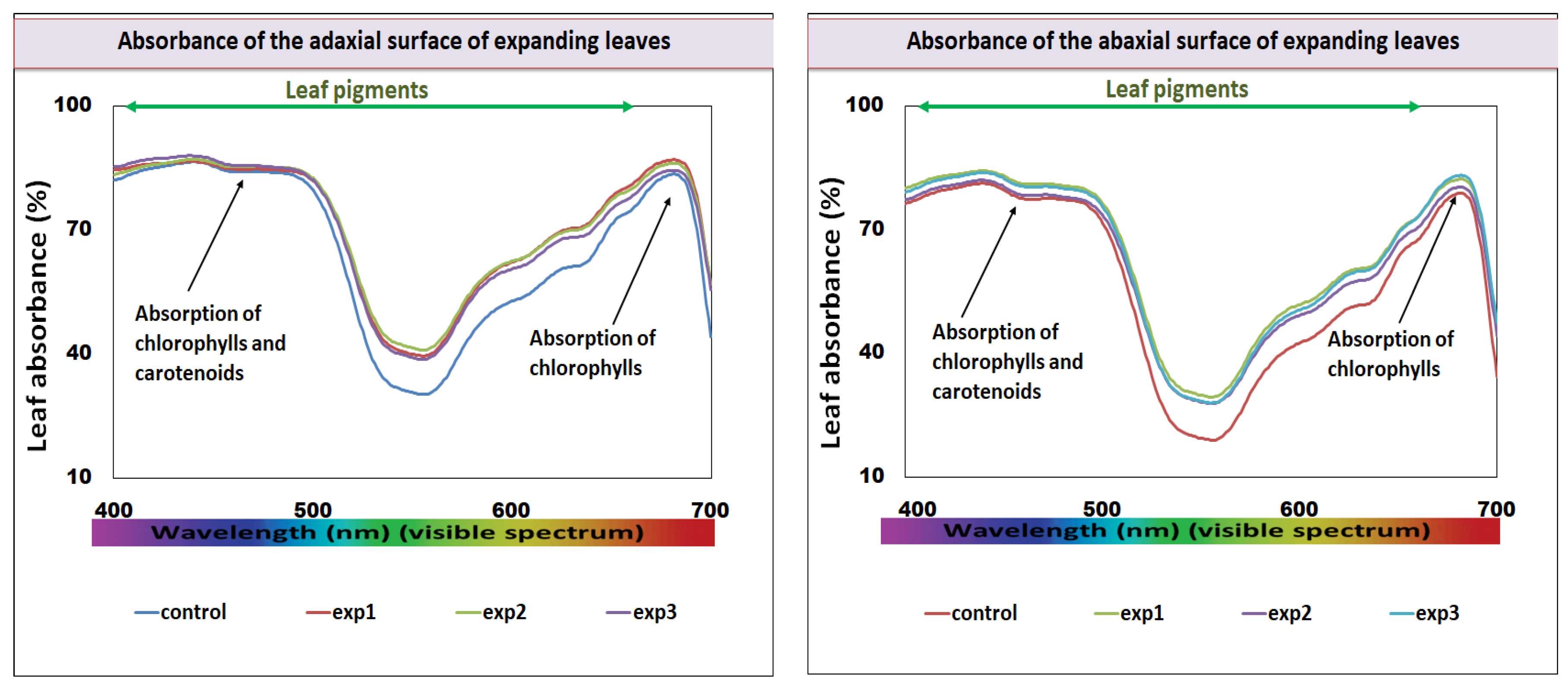 Blsf 04 00055 g002 550