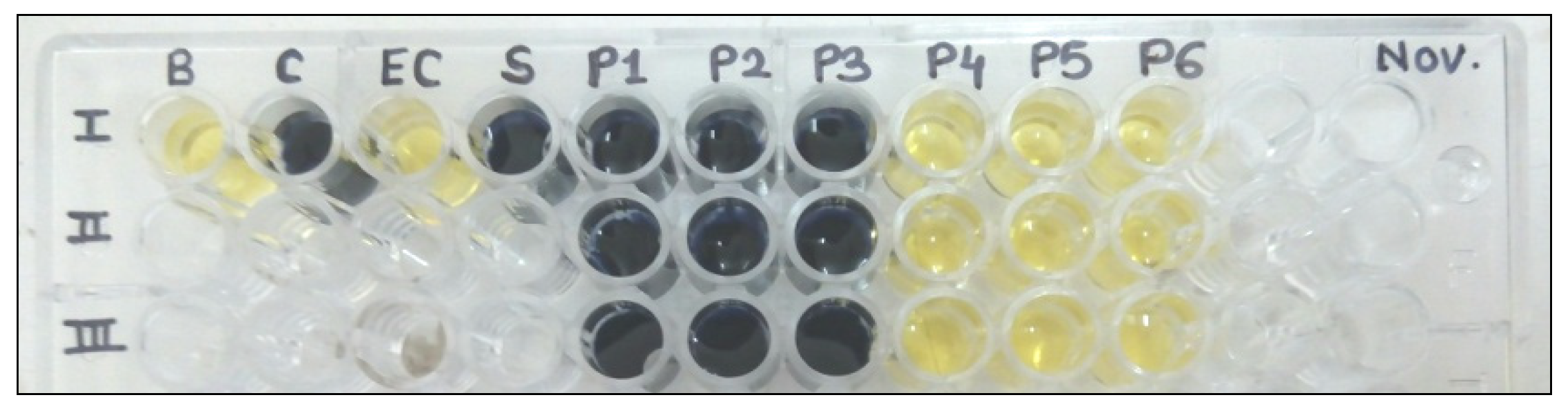 Blsf 04 00056 g001 550