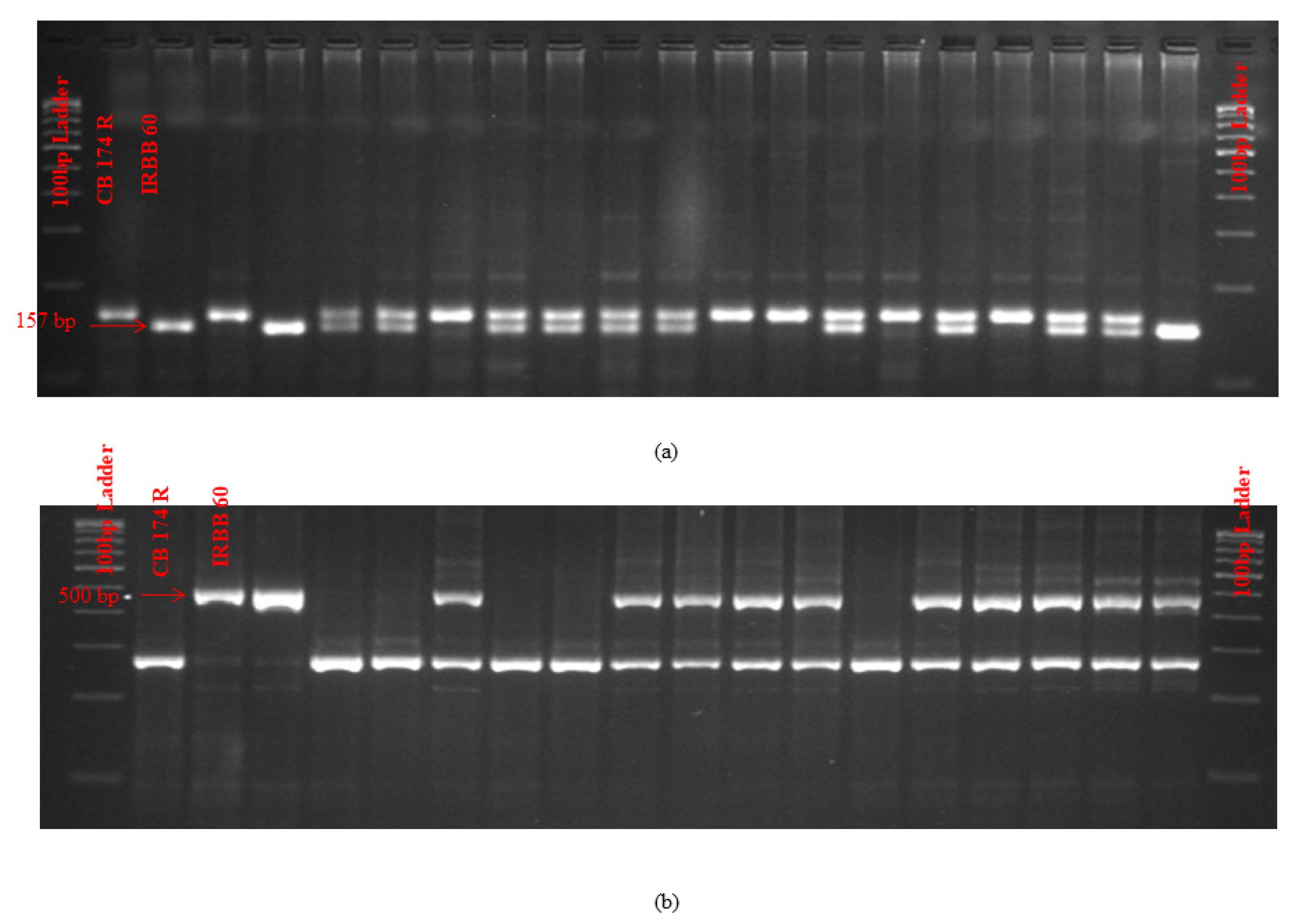 Blsf 04 00072 g001 Blsf 04 00072 g001