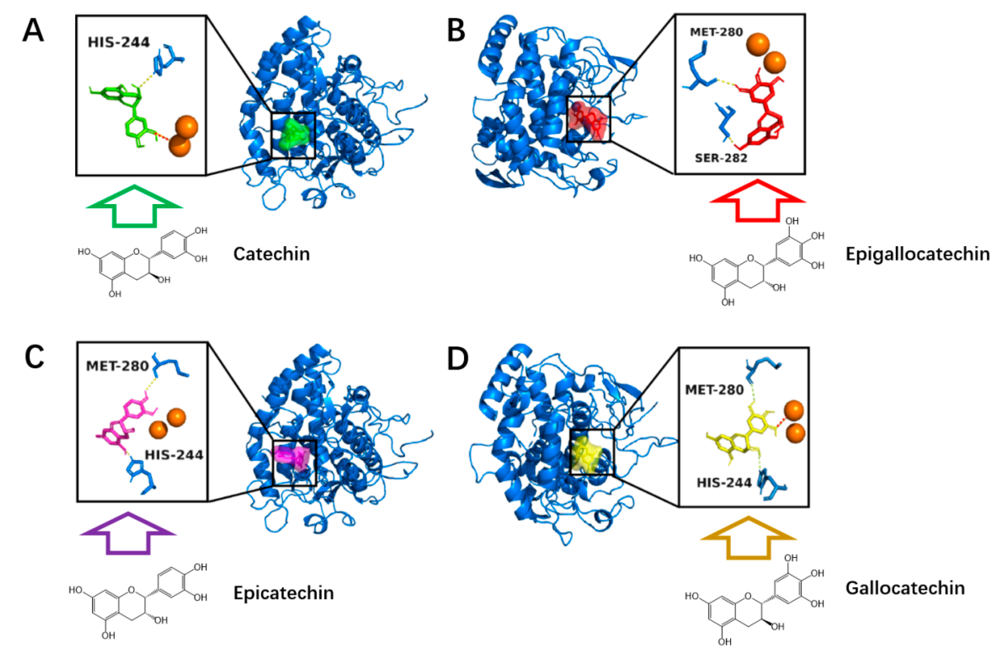 Blsf 06 00066 g003 Blsf 06 00066 g003