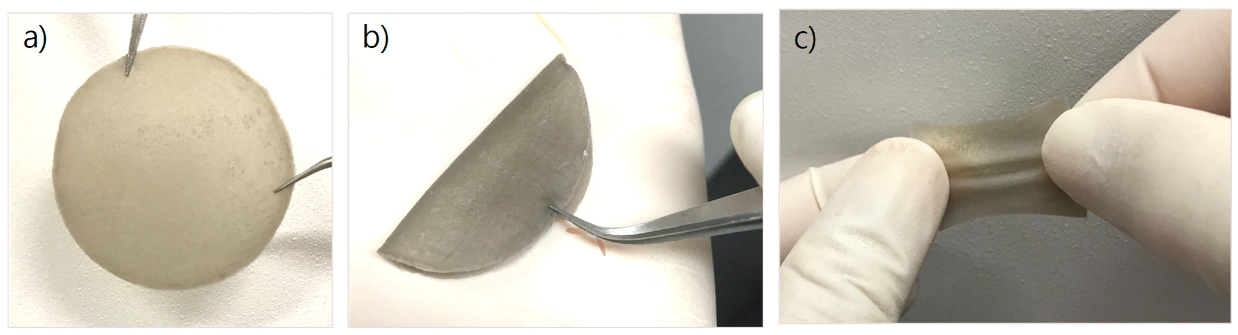 Blsf 07 00009 g001 550