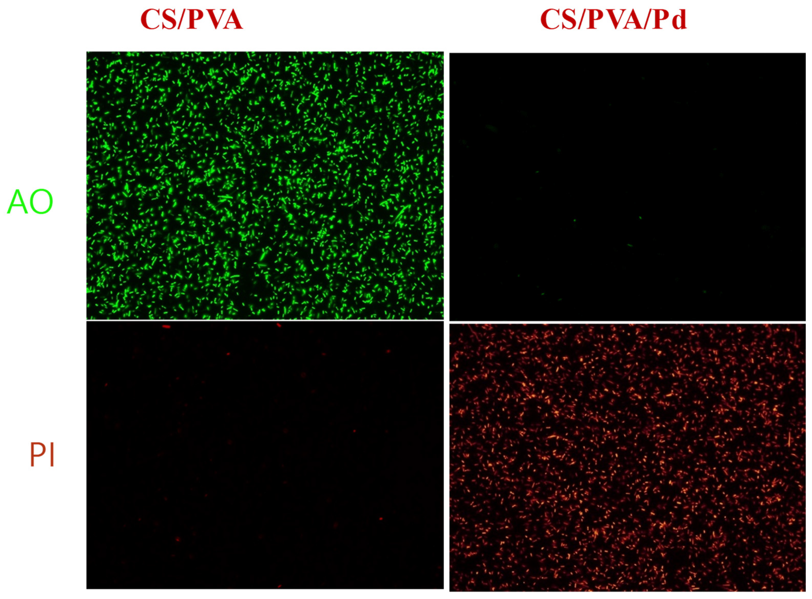 Blsf 07 00009 g003 550