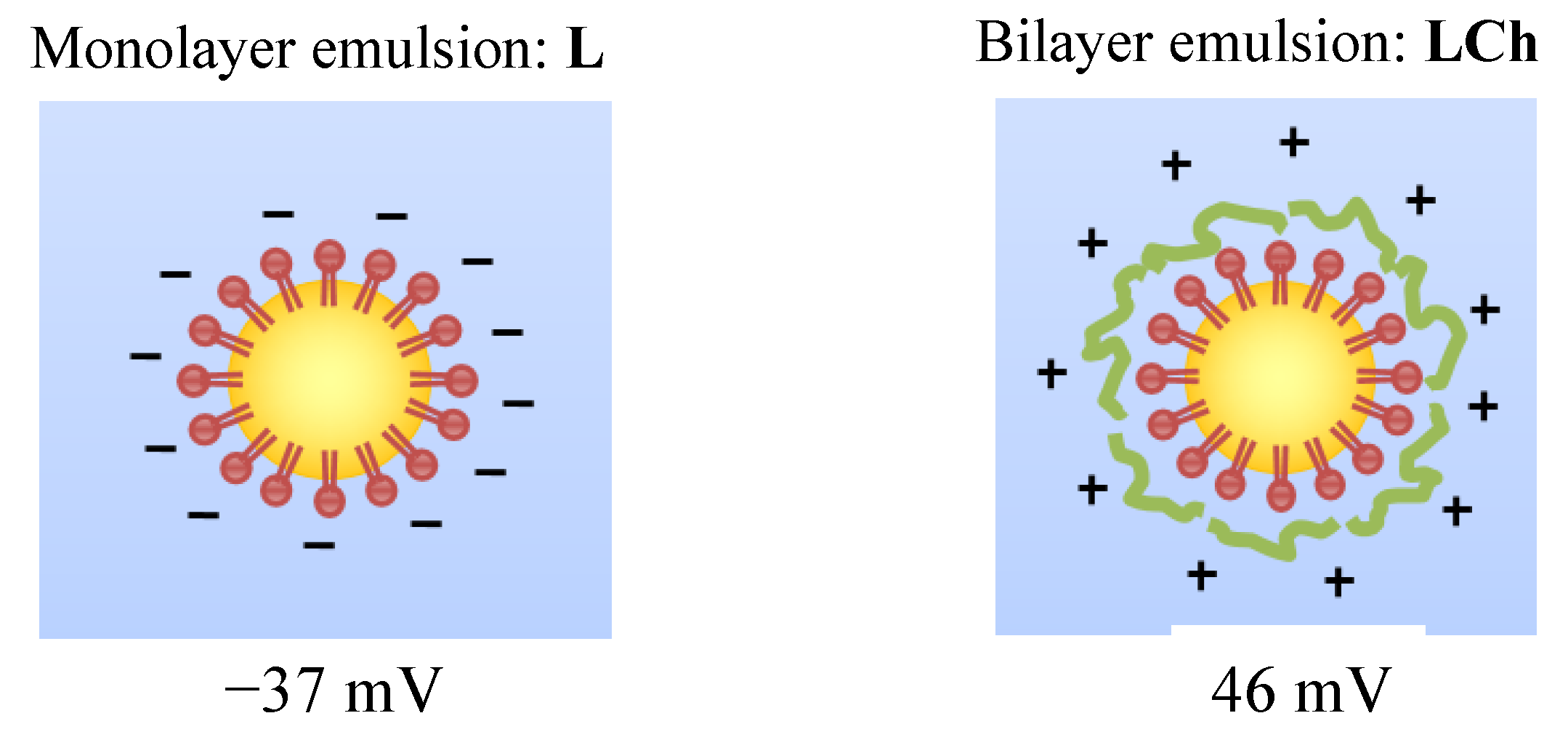 Blsf 08 00011 g001 550