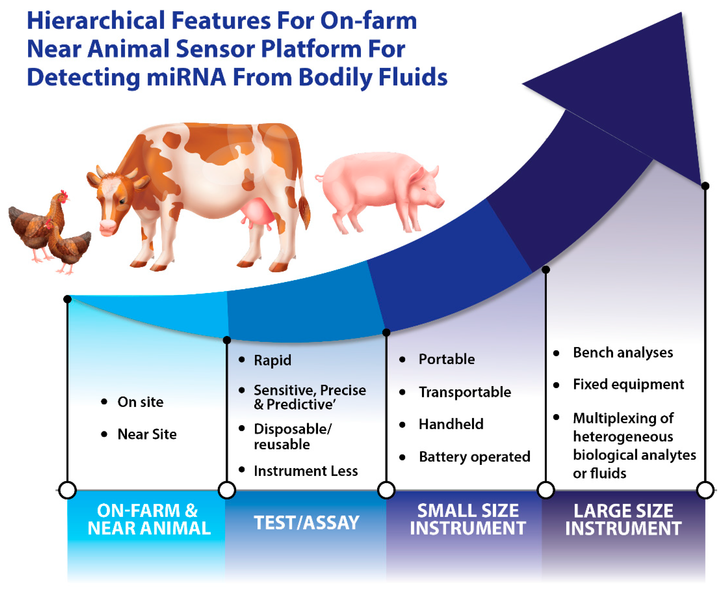 Blsf 10 00003 g002 Blsf 10 00003 g002