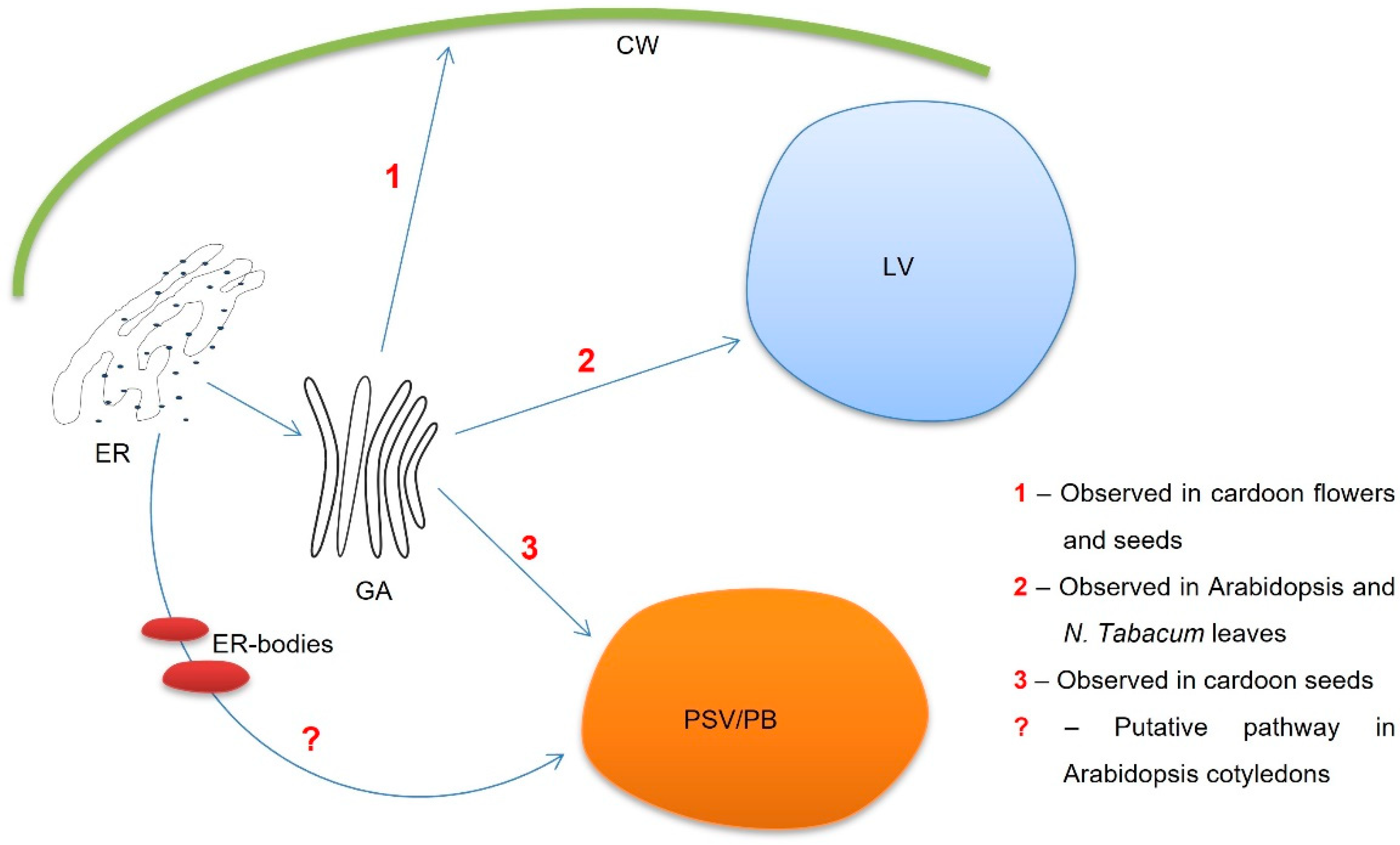 Blsf 11 00008 g004 Blsf 11 00008 g004