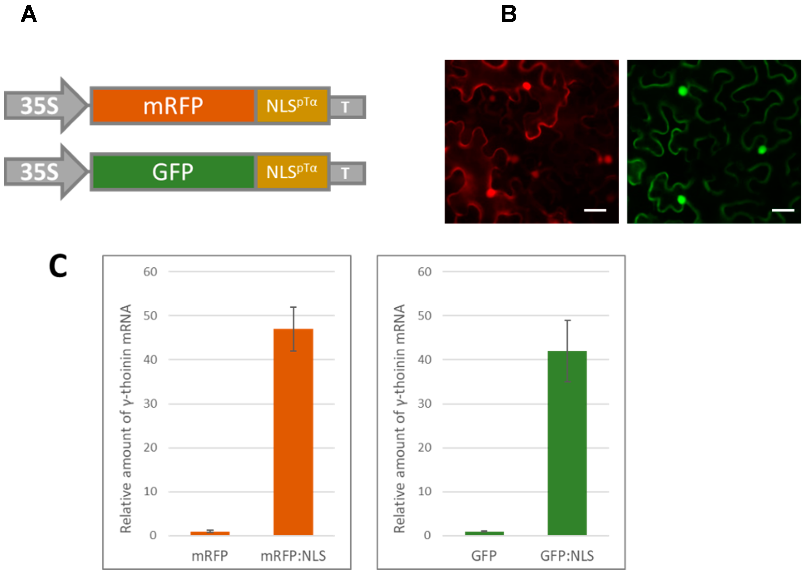 Blsf 11 00011 g001 550