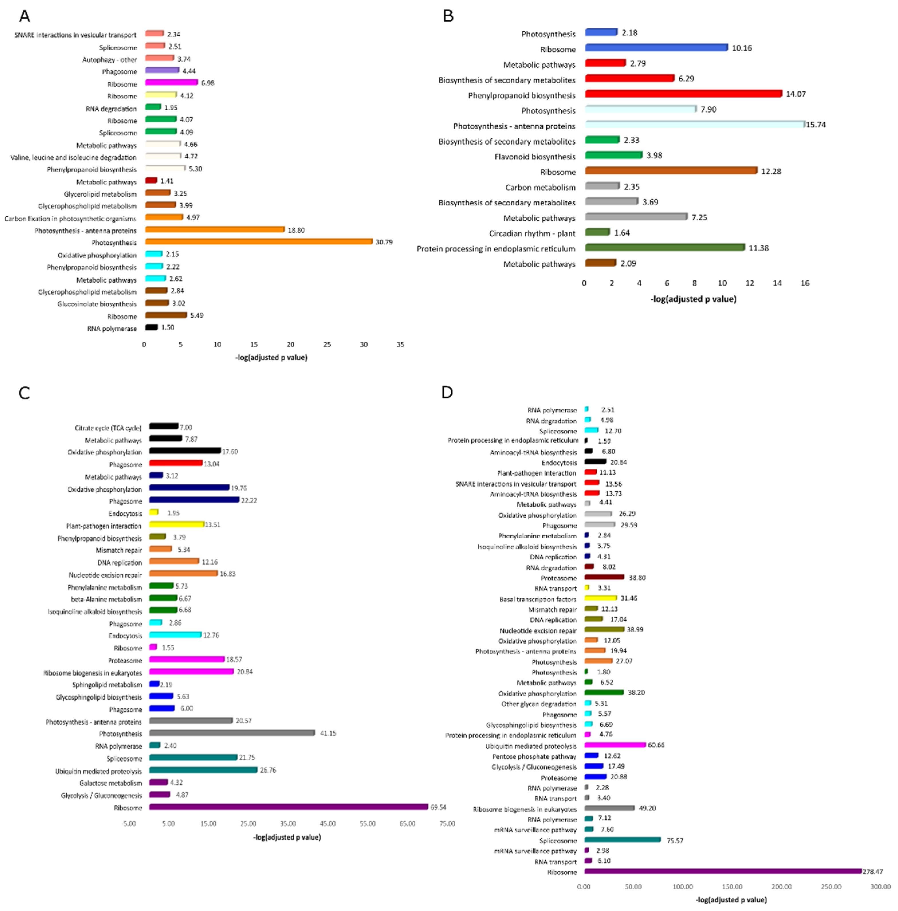 Blsf 11 00013 g002 550