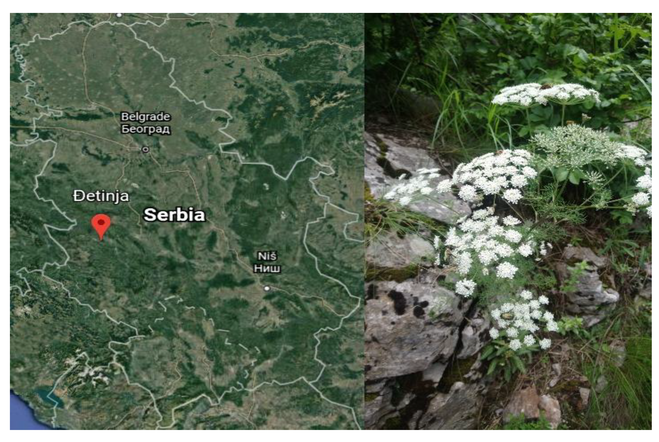 Blsf 11 00030 g001 Blsf 11 00030 g001