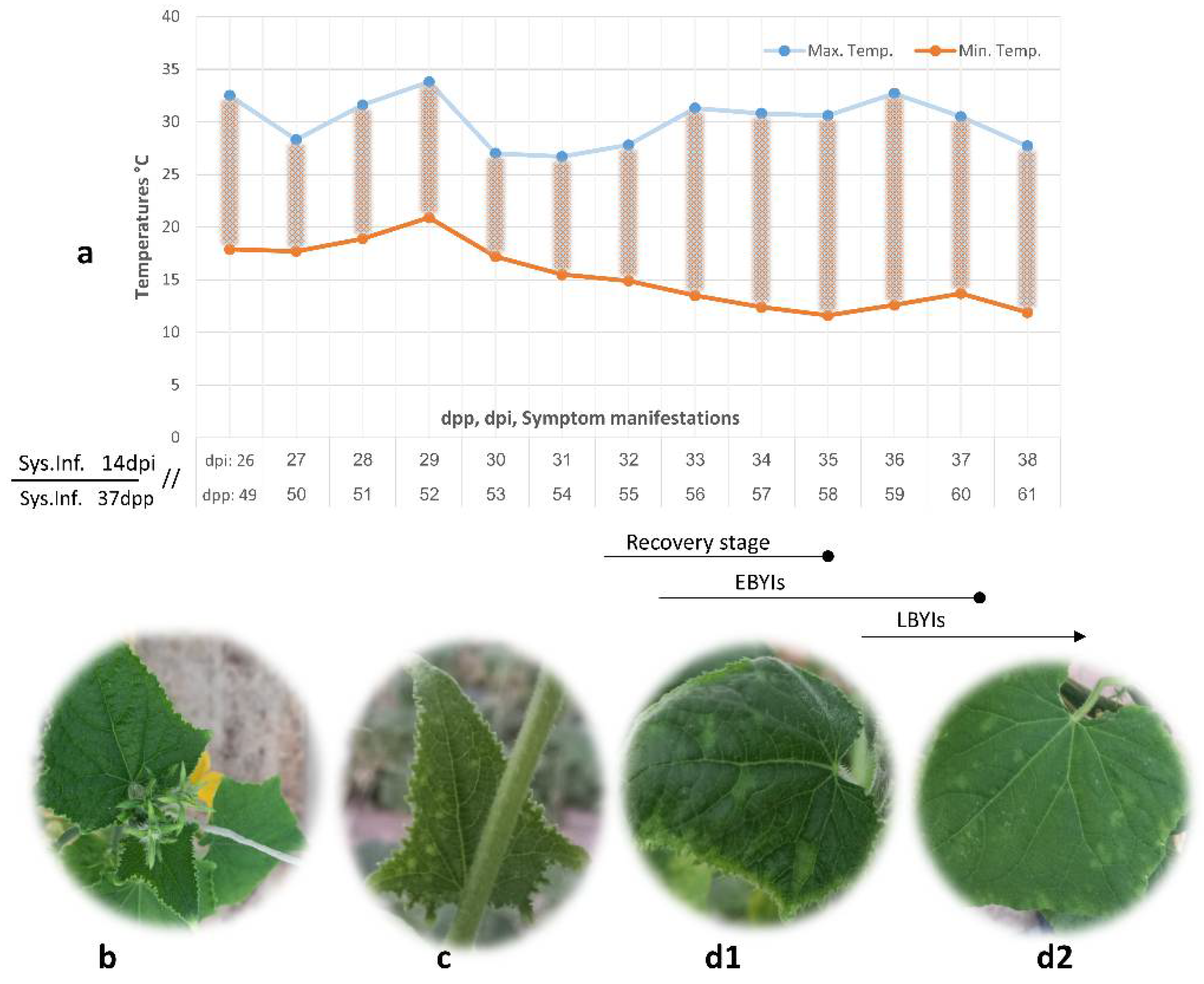 Blsf 11 00058 g004 Blsf 11 00058 g004